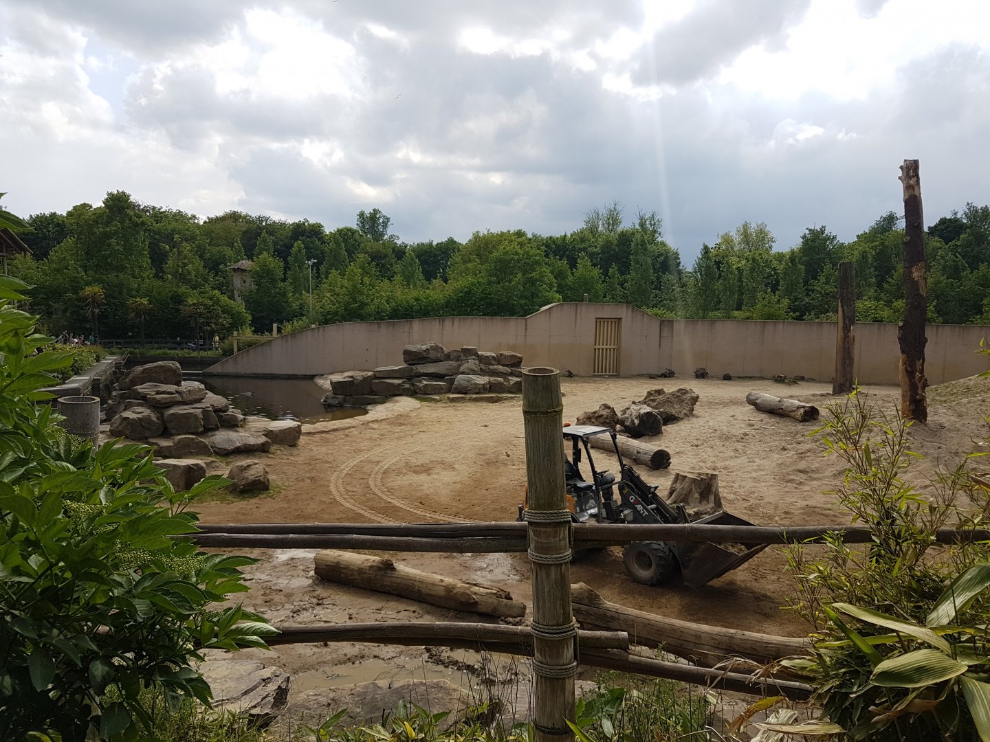 Part Elephant out-door enclosure