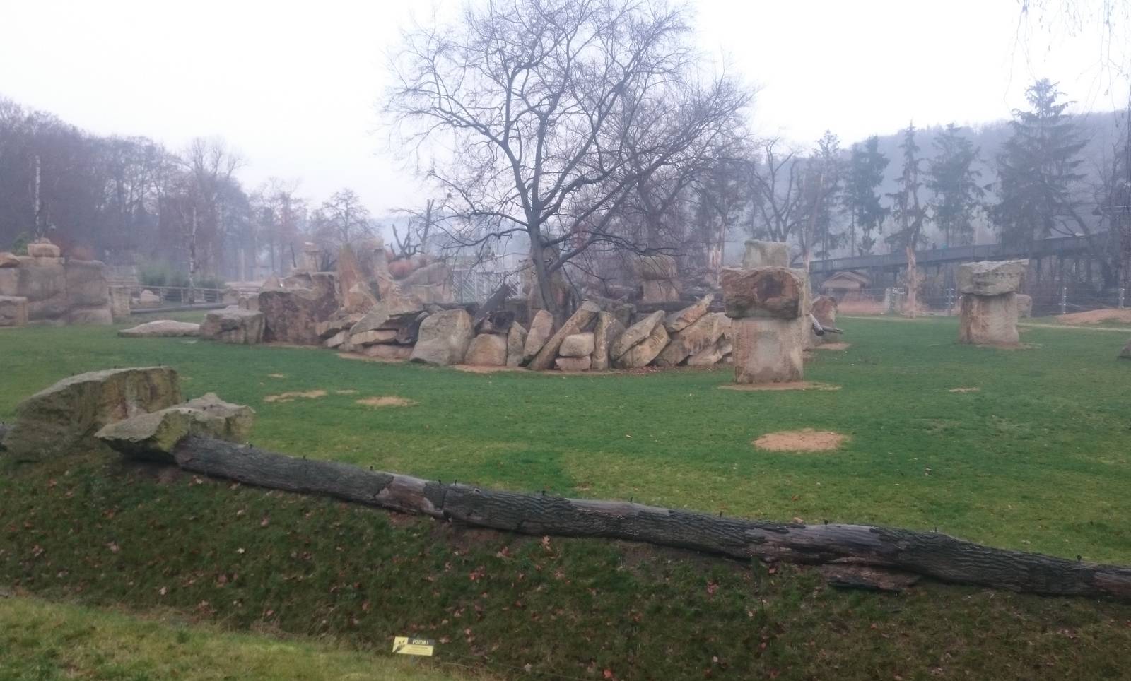 Part Elephant outdoor enclosure