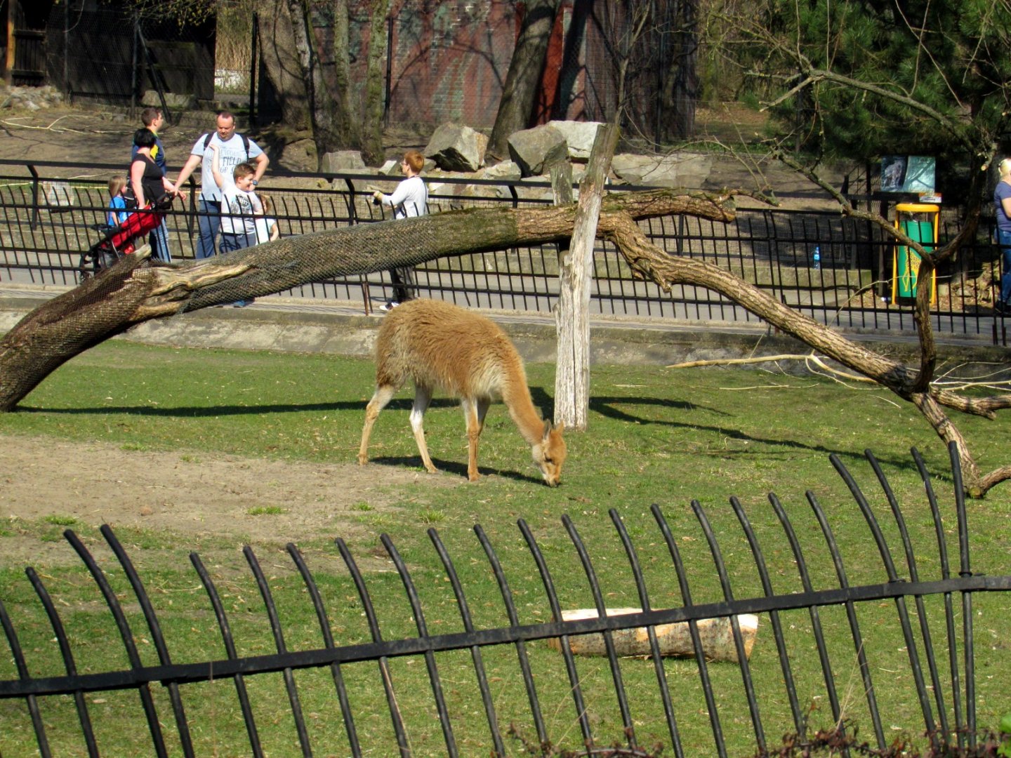 Part enclosure vicugnas