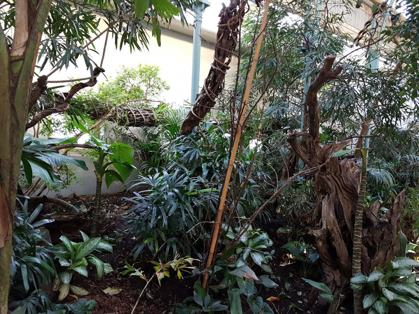 Part former Monkey-house