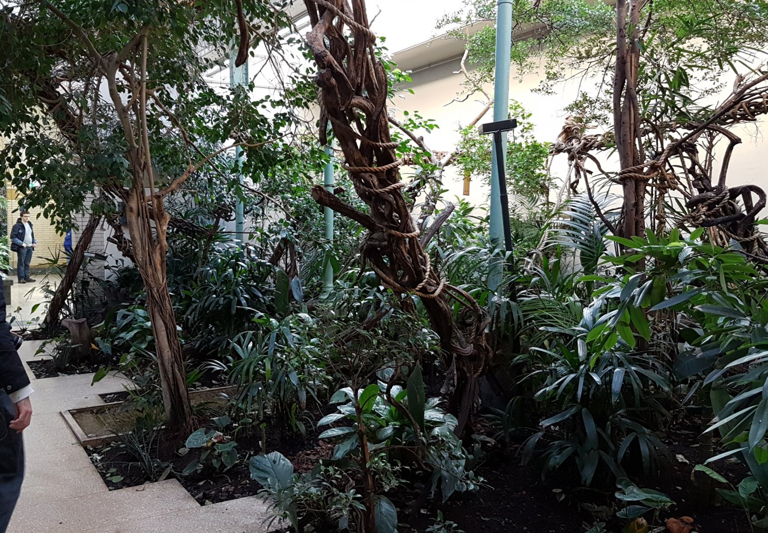 Part former Monkey-house