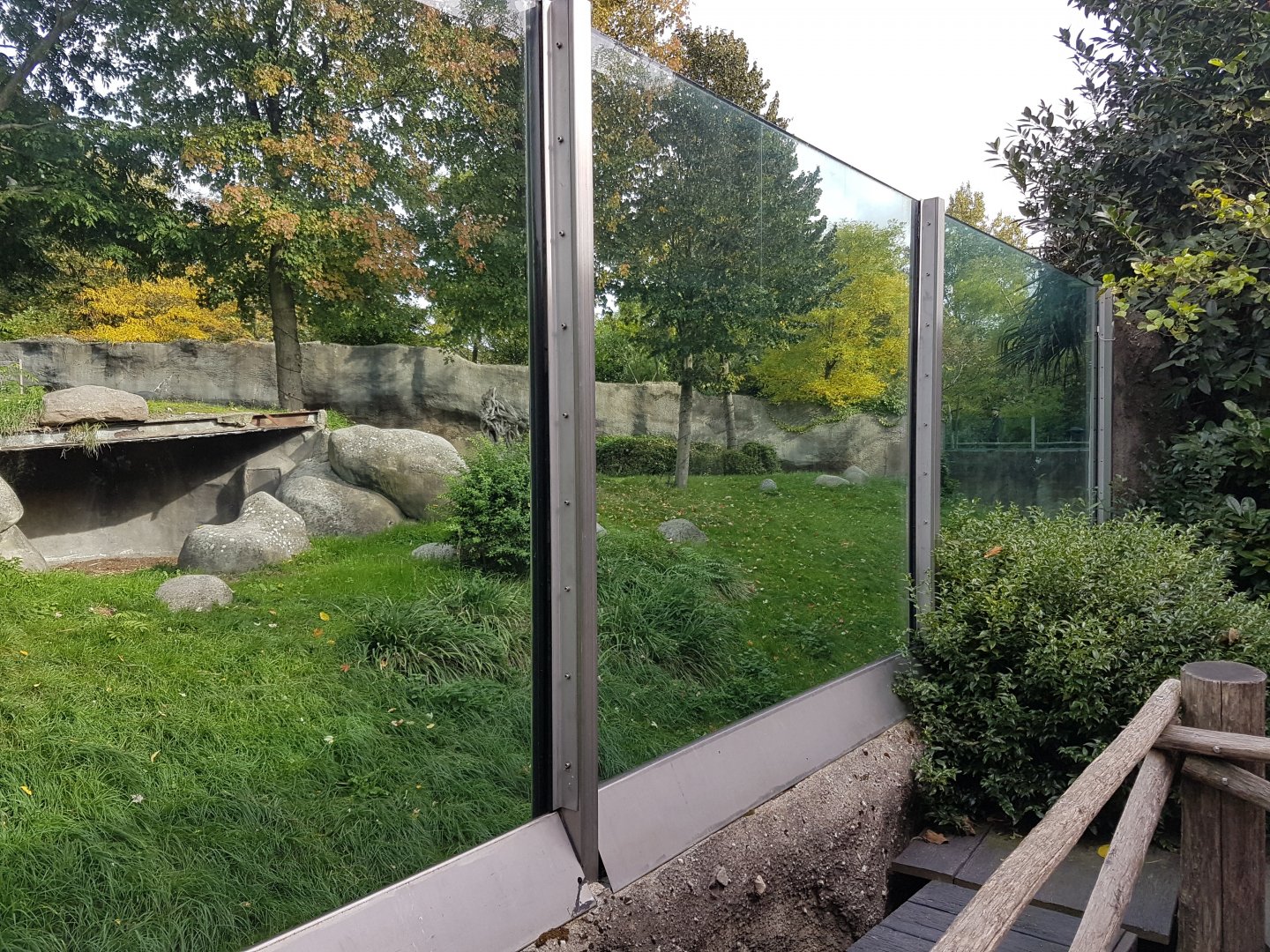 Part Gorilla-outdoor enclosure - with heathed shelter