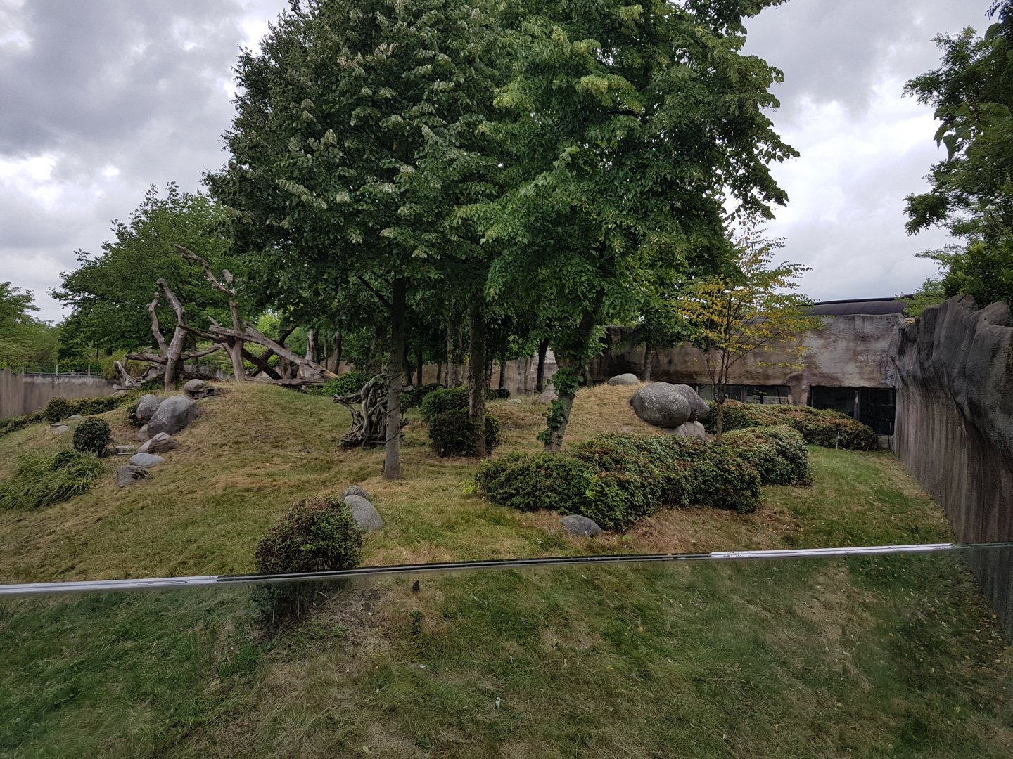 Part Gorilla-outdoor-enclosure