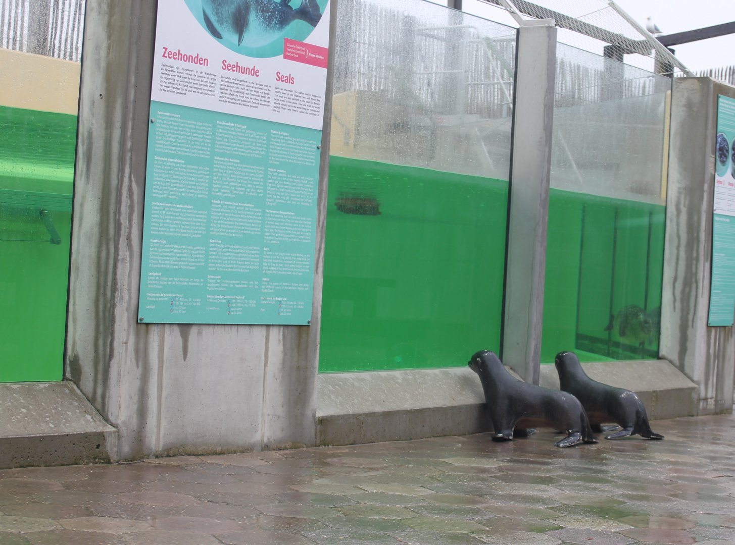 Part Harbour seal-enclosure