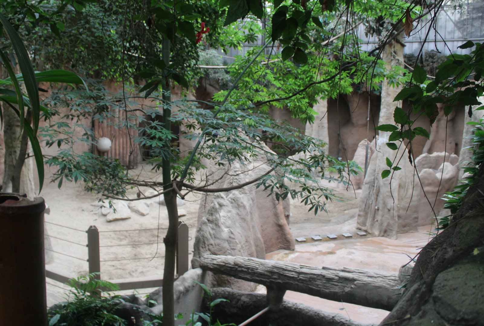 Part indoor enclosure Asian elephant