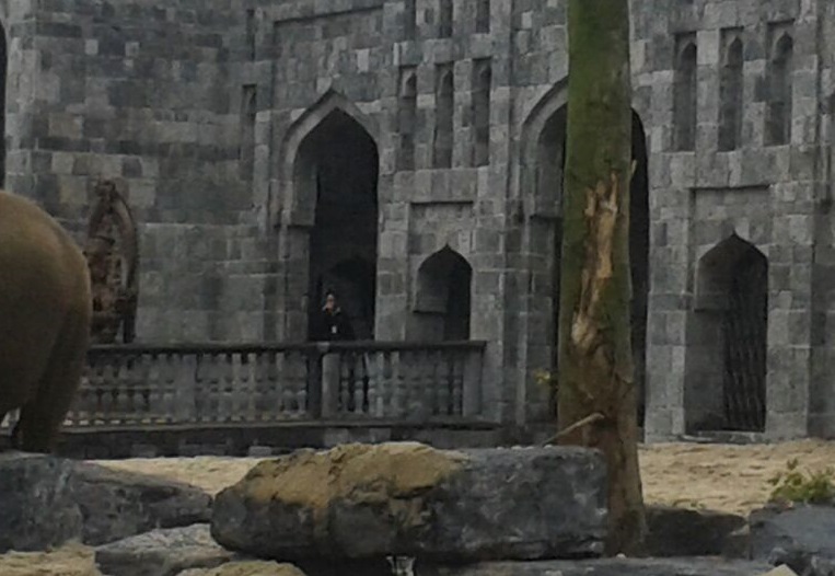 Part indoor-enclosures Asain elephants