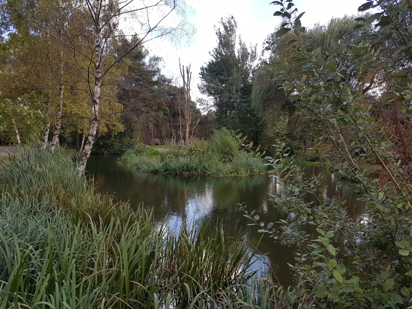 Part Lemur walk-through enclosure