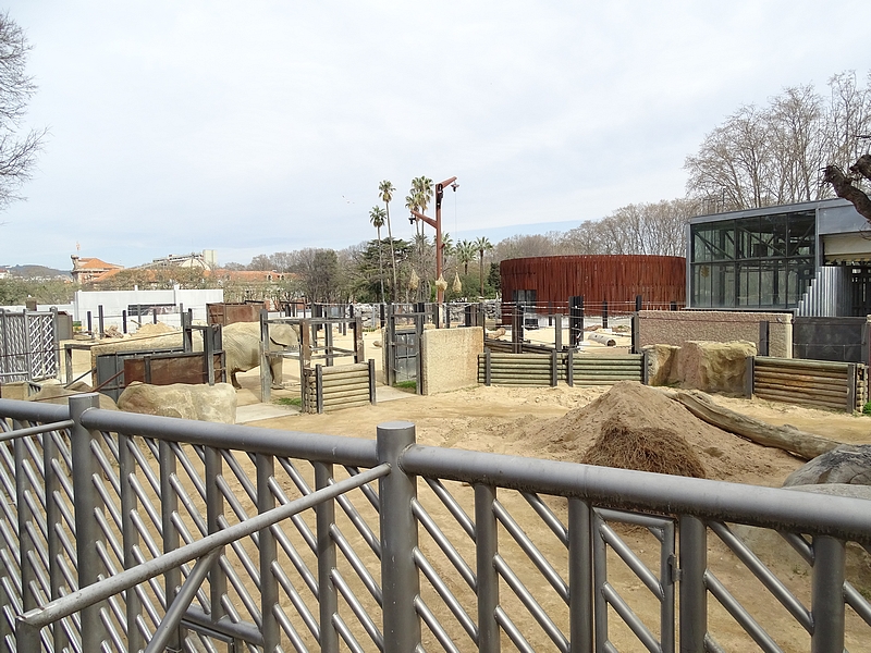 Part of African elephant enclosure