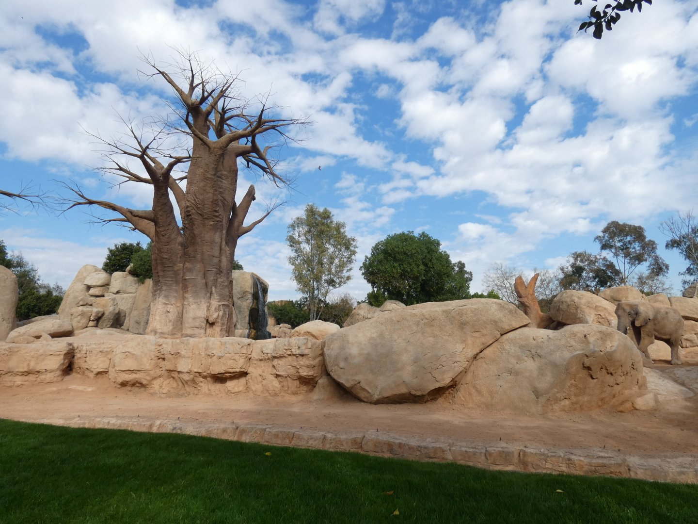 Part of African Elephant exhibit