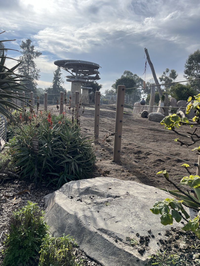 Part of African elephant exhibit