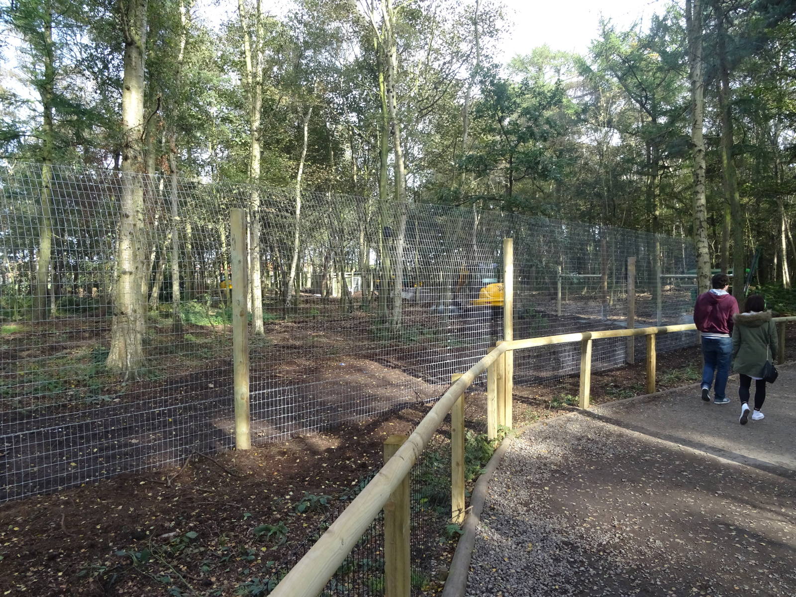 Part of African Hunting Dog Exhibit at Yorkshire Wildlife Park