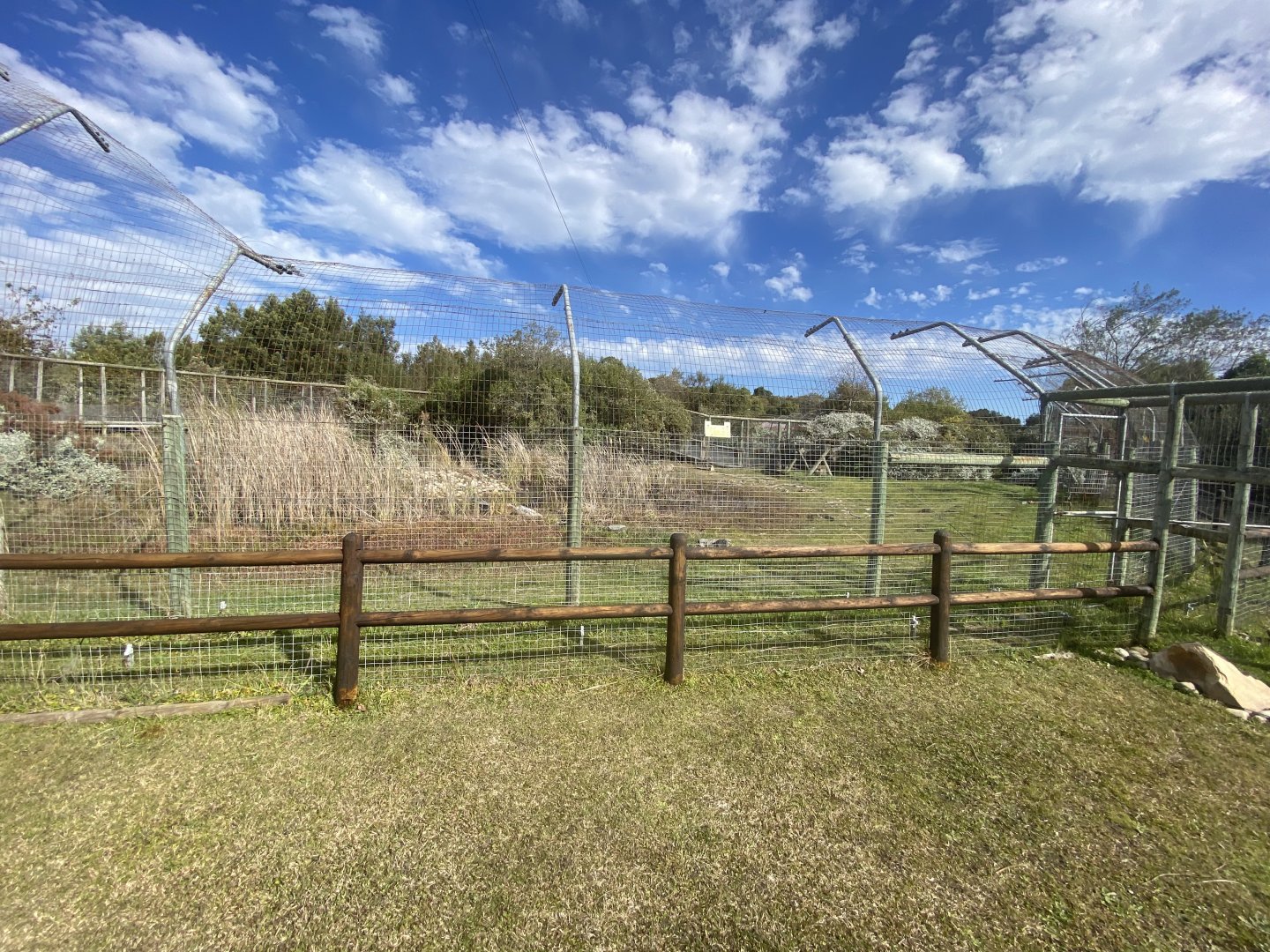 Part of African leopard enclosure
