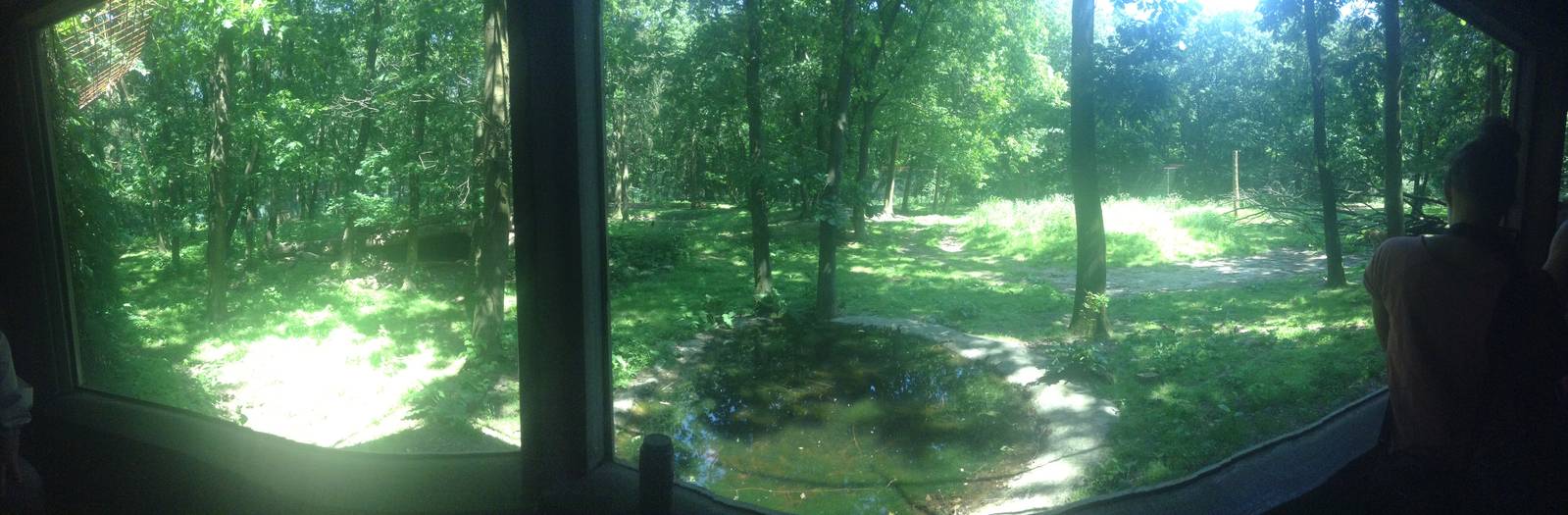 Part Of African Lion Enclosure