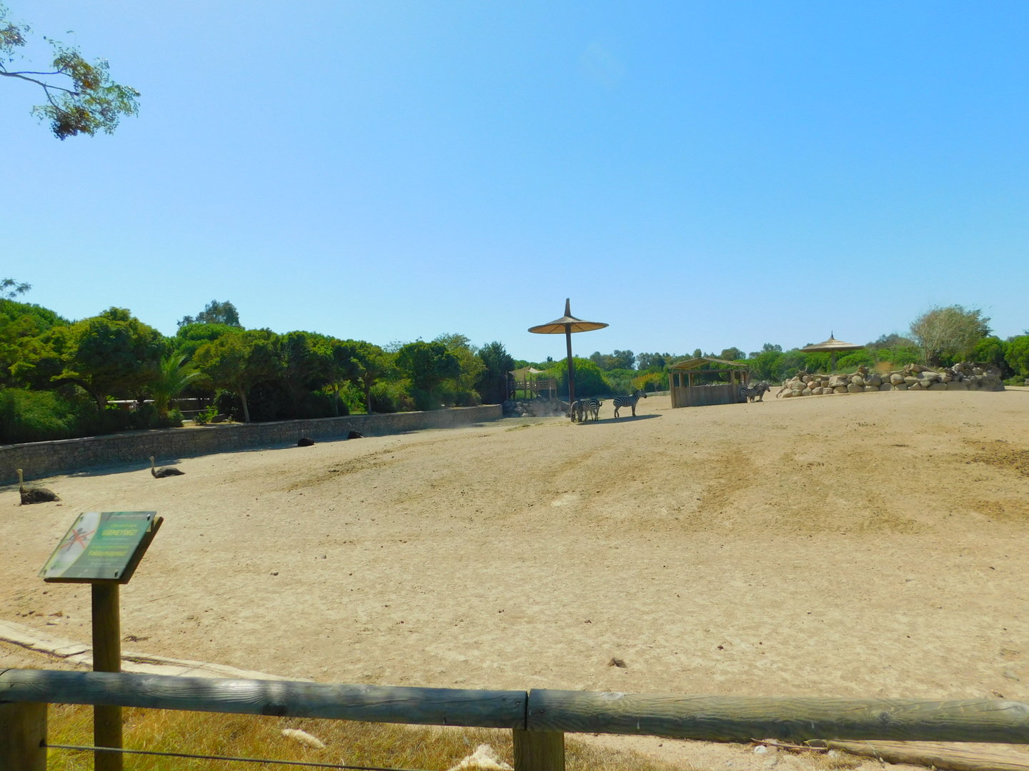 Part of African Savanna