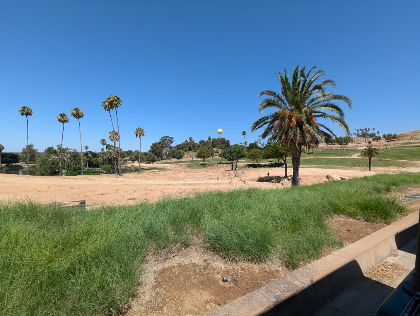 Part of African Savannah