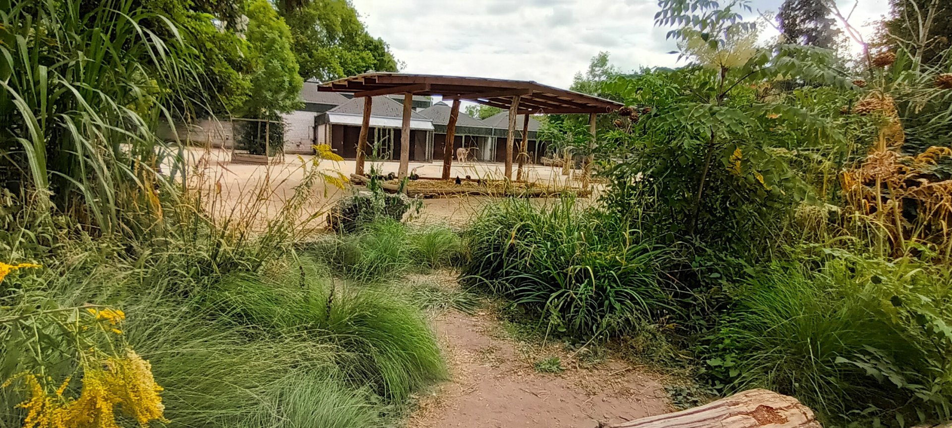 part of African Savannah