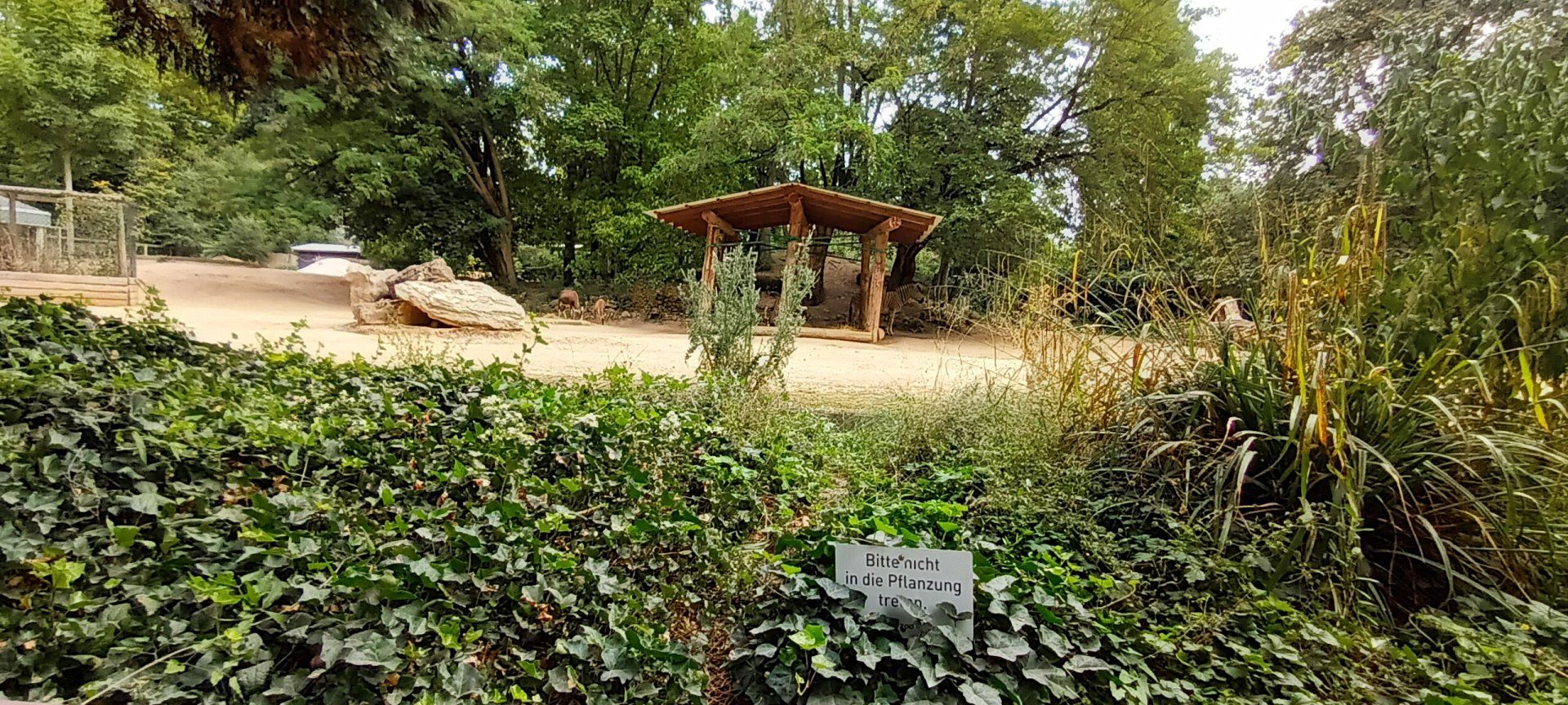 part of African Savannah