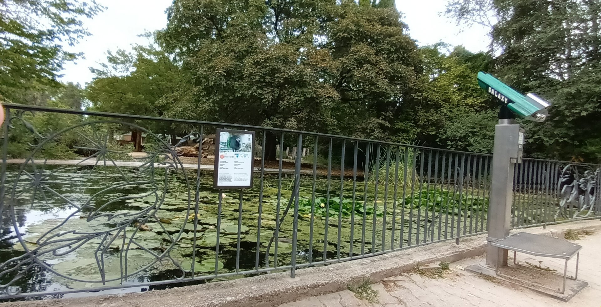 part of African Savannah