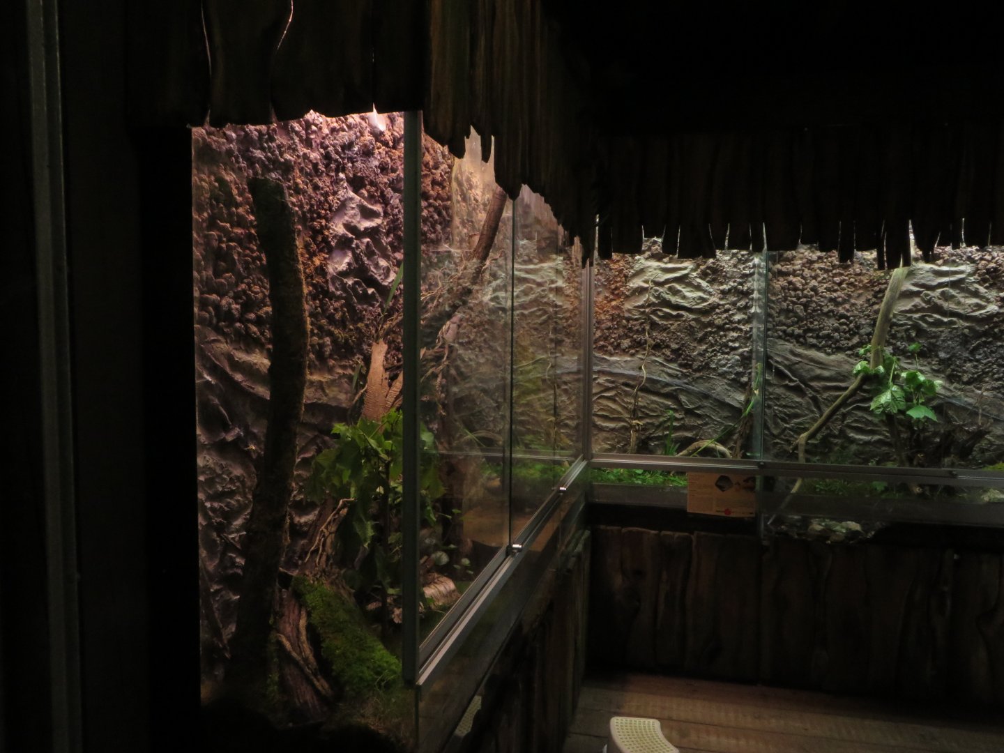 part of Amphibian house