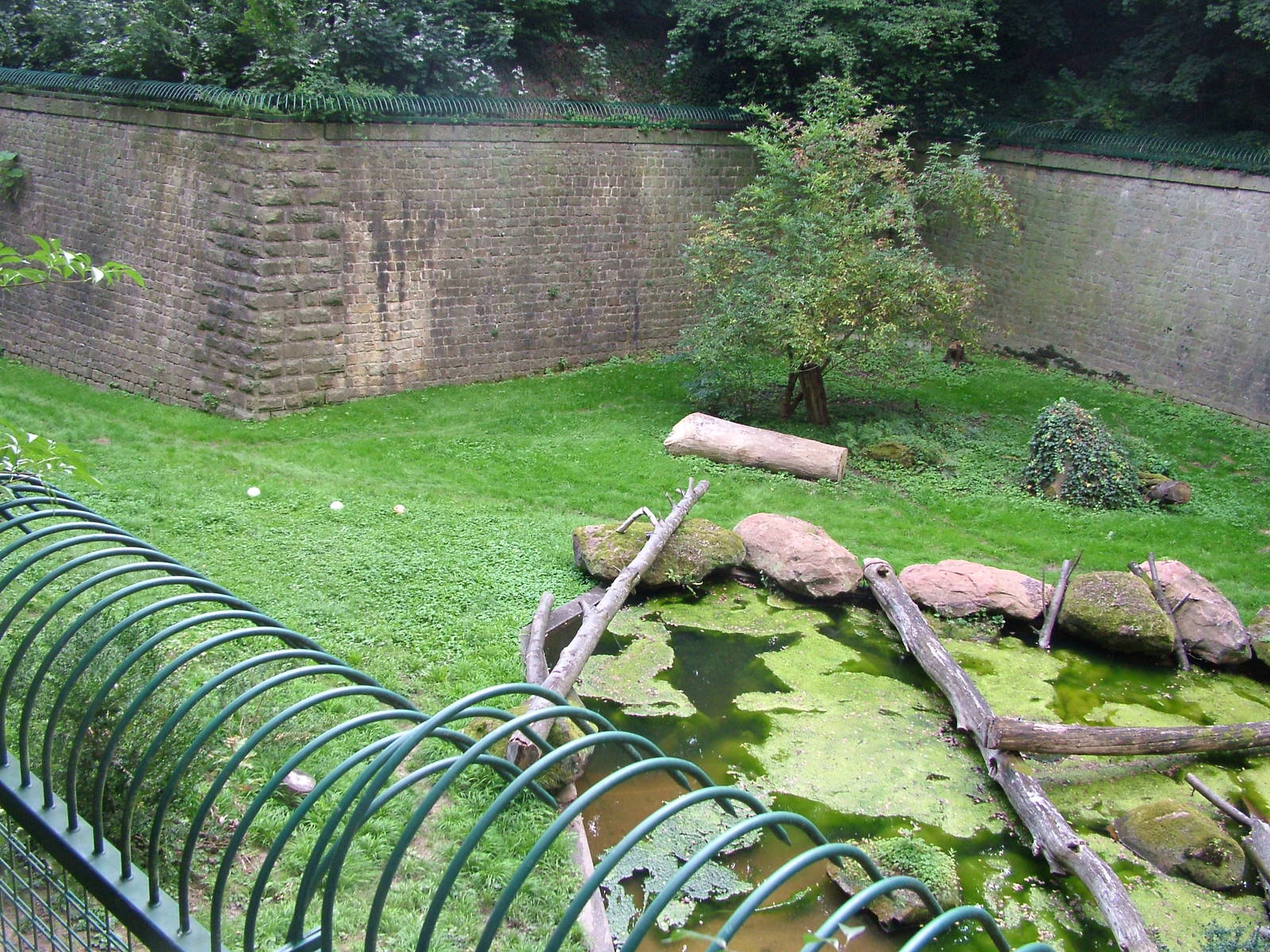 Part of Amur Tiger Exhibit at Landau Zoo, 04/09/10