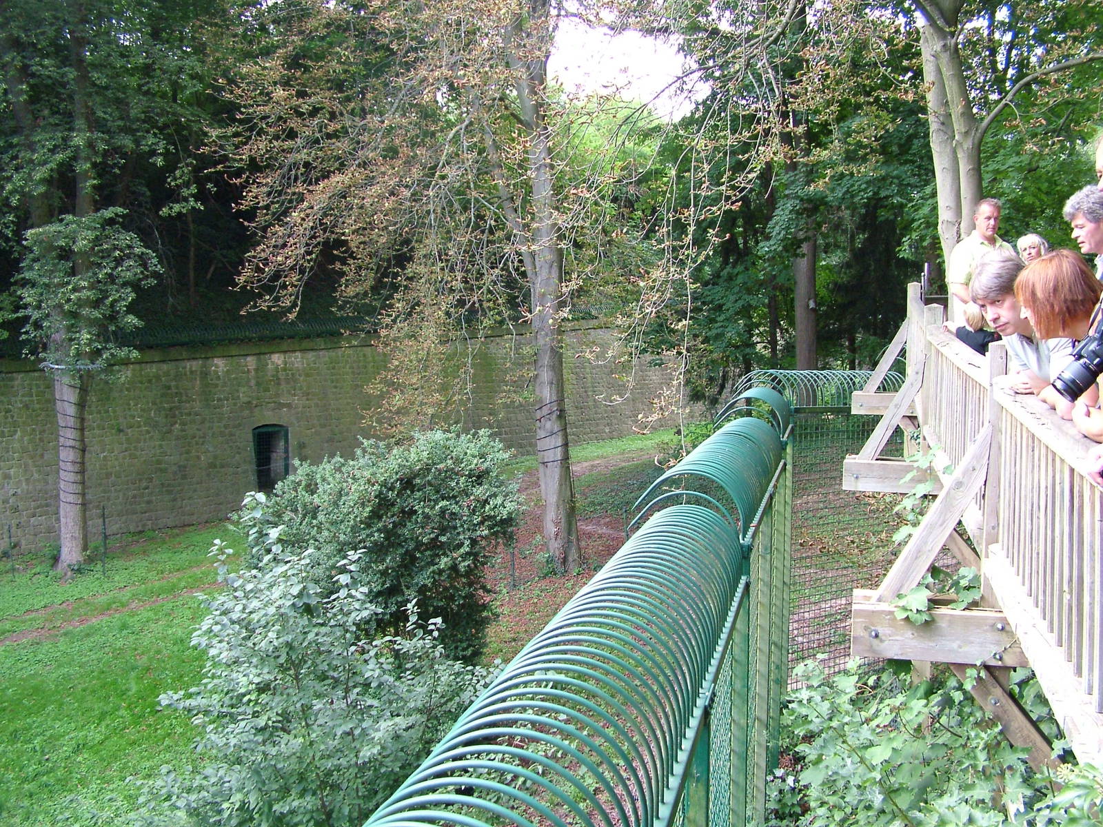 Part of Amur Tiger Exhibit at Landau Zoo, 04/09/10