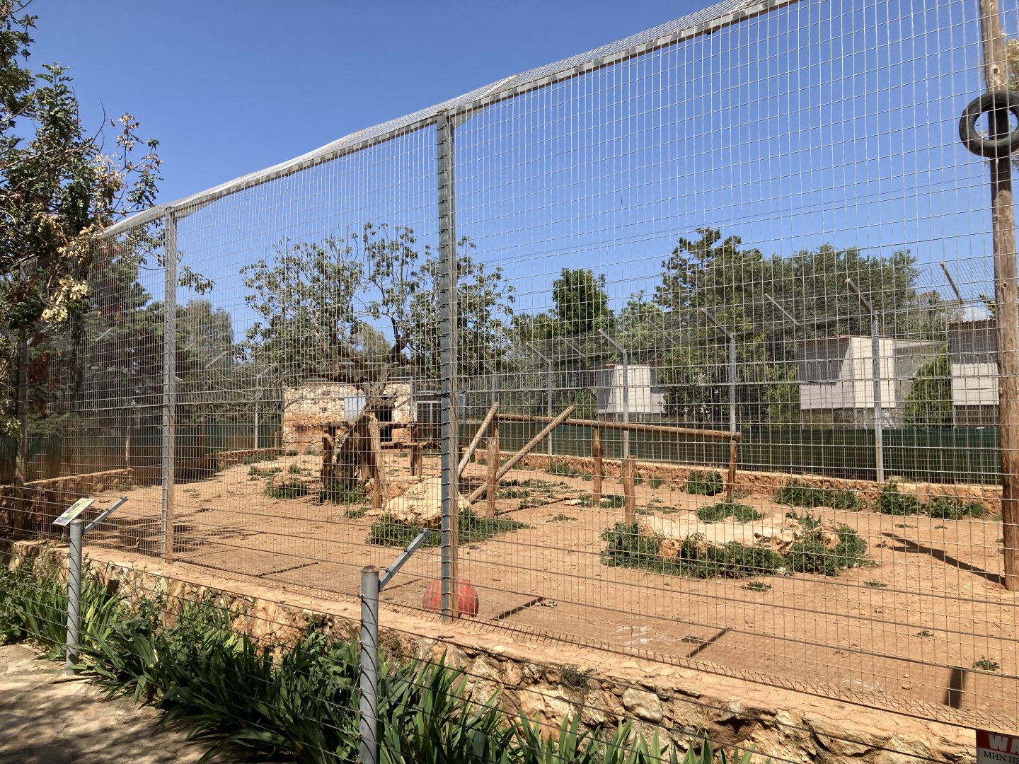 Part of Amur tiger exhibit