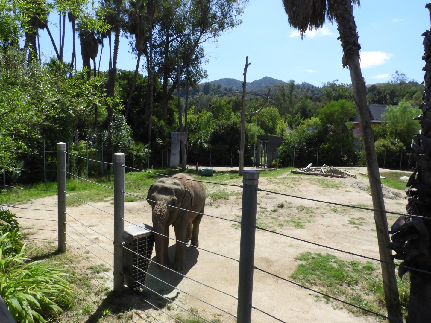 Part of Asian elephant enclosure