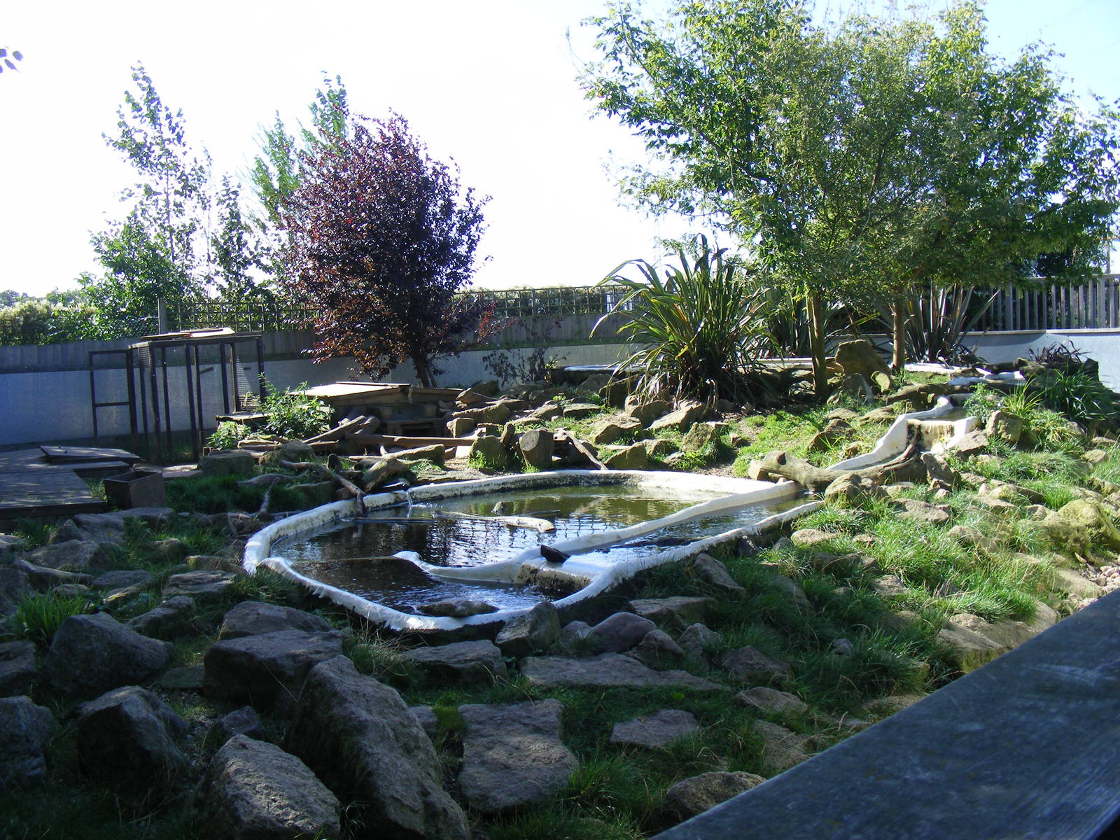 Part of Asian short-clawed otter enclosure at Tropical Wings, 13 September
