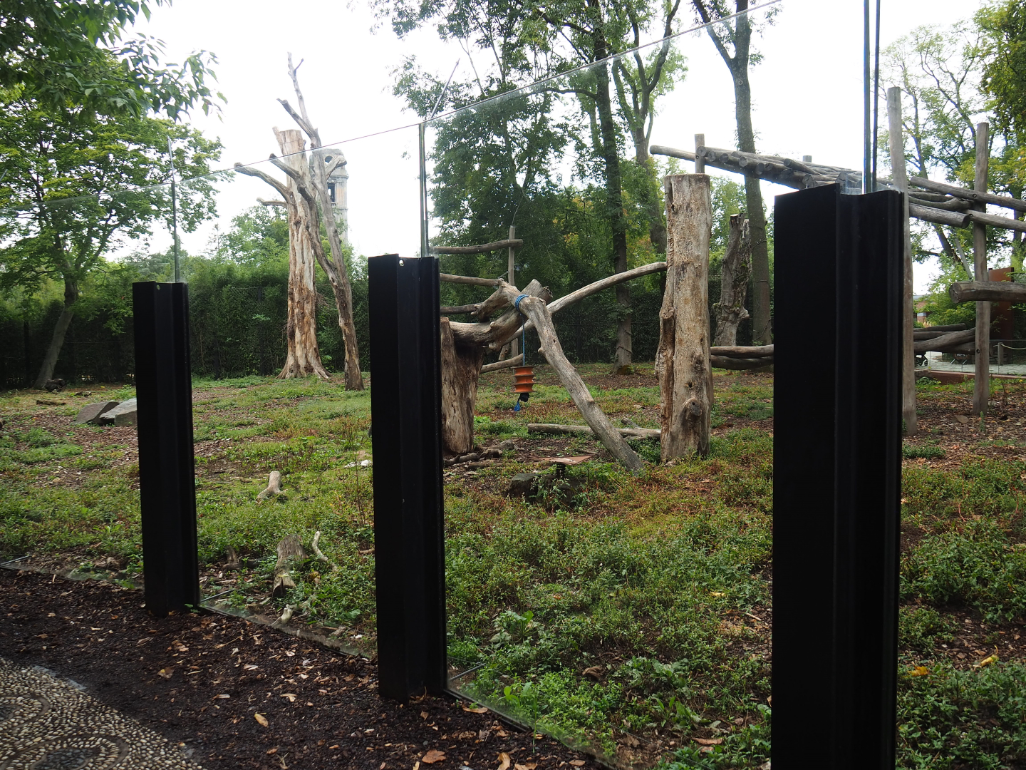 Part of Asiatic black bear exhibit, 2022-09-15