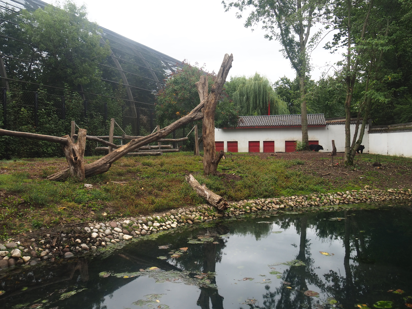 Part of Asiatic black bear exhibit, Asiatic black bear house and exterior of Cathedral aviary, 2022-09-15