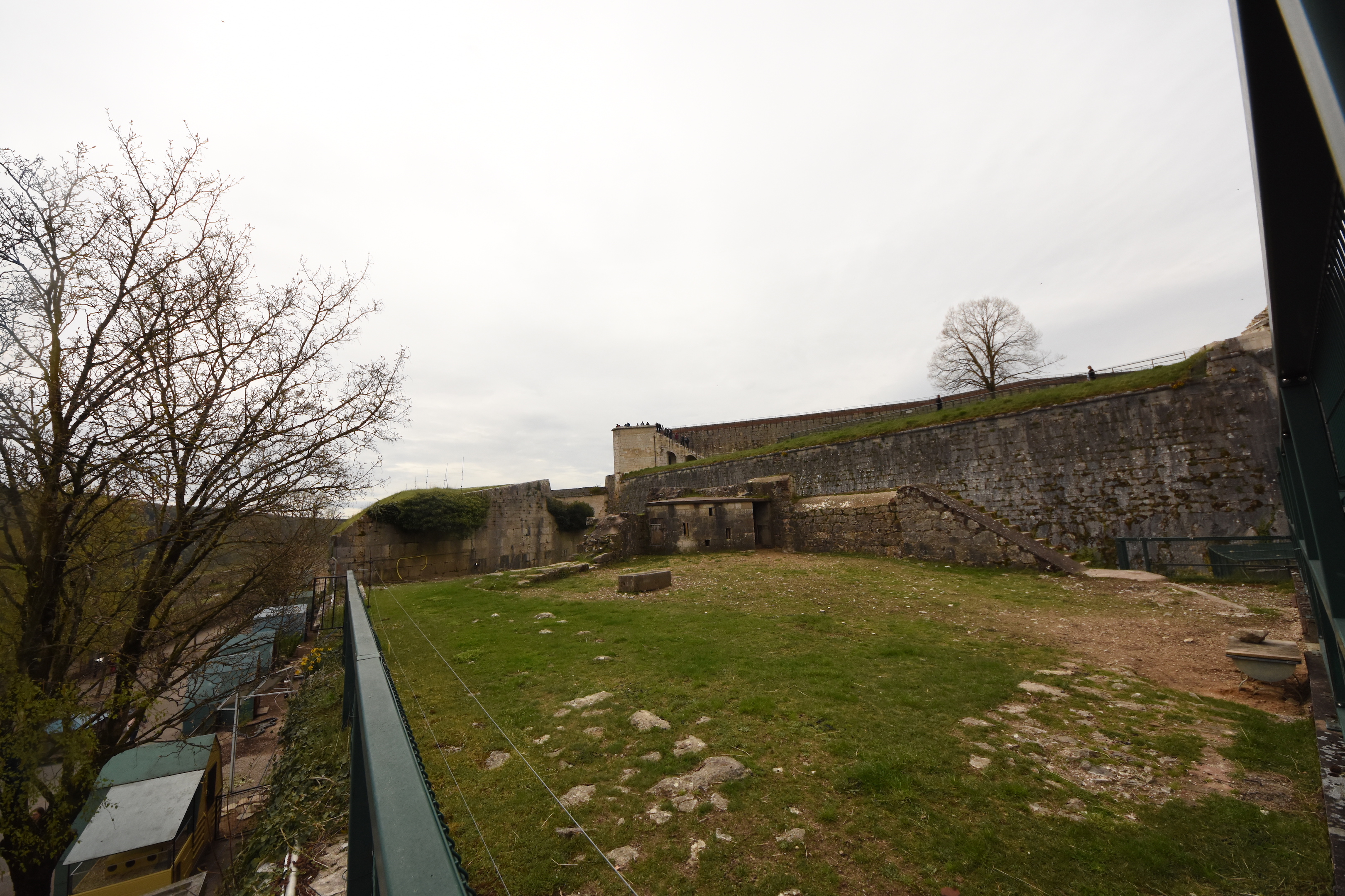 part of Barbary sheep enclosure