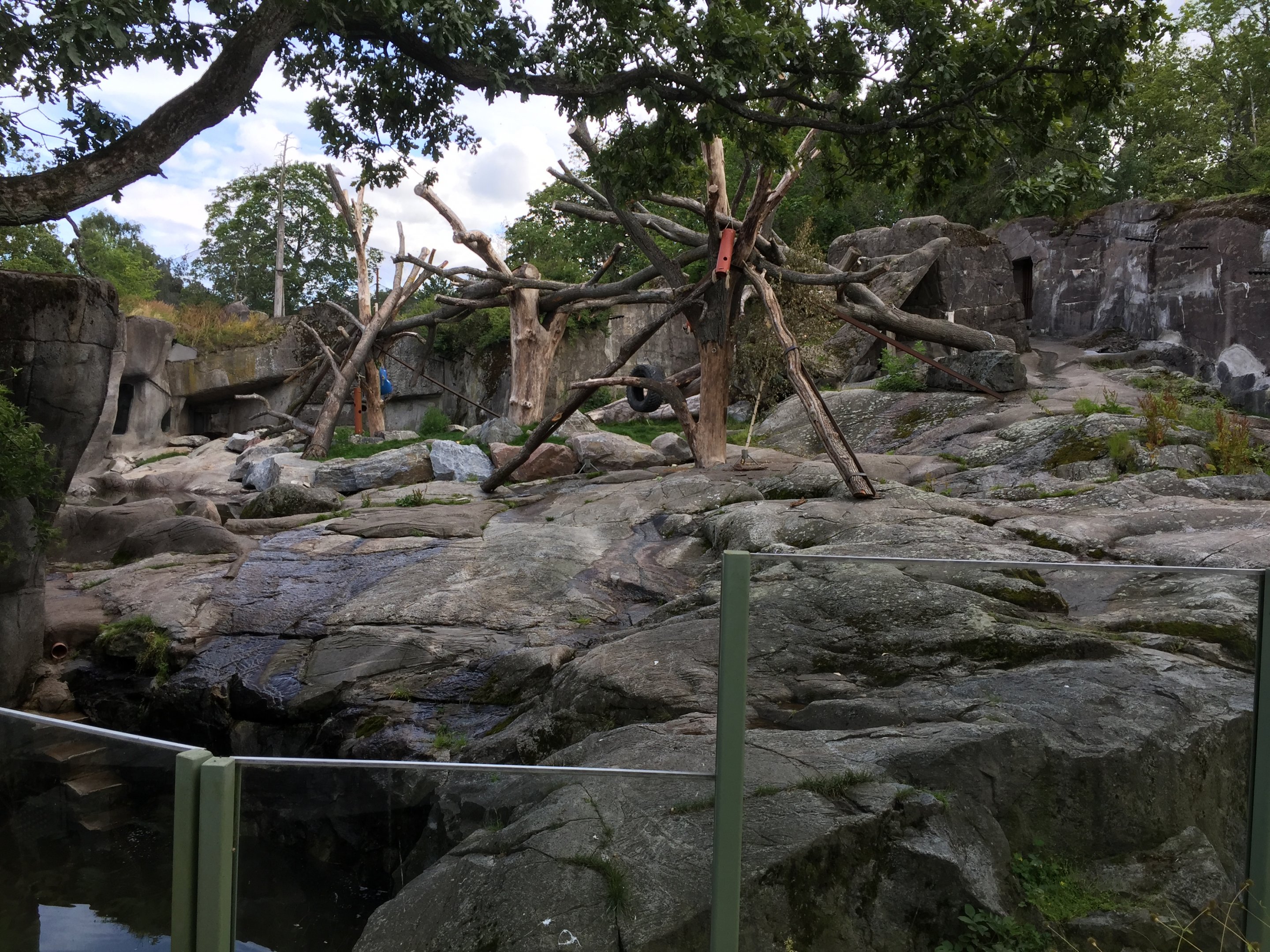 Part of bear enclosure