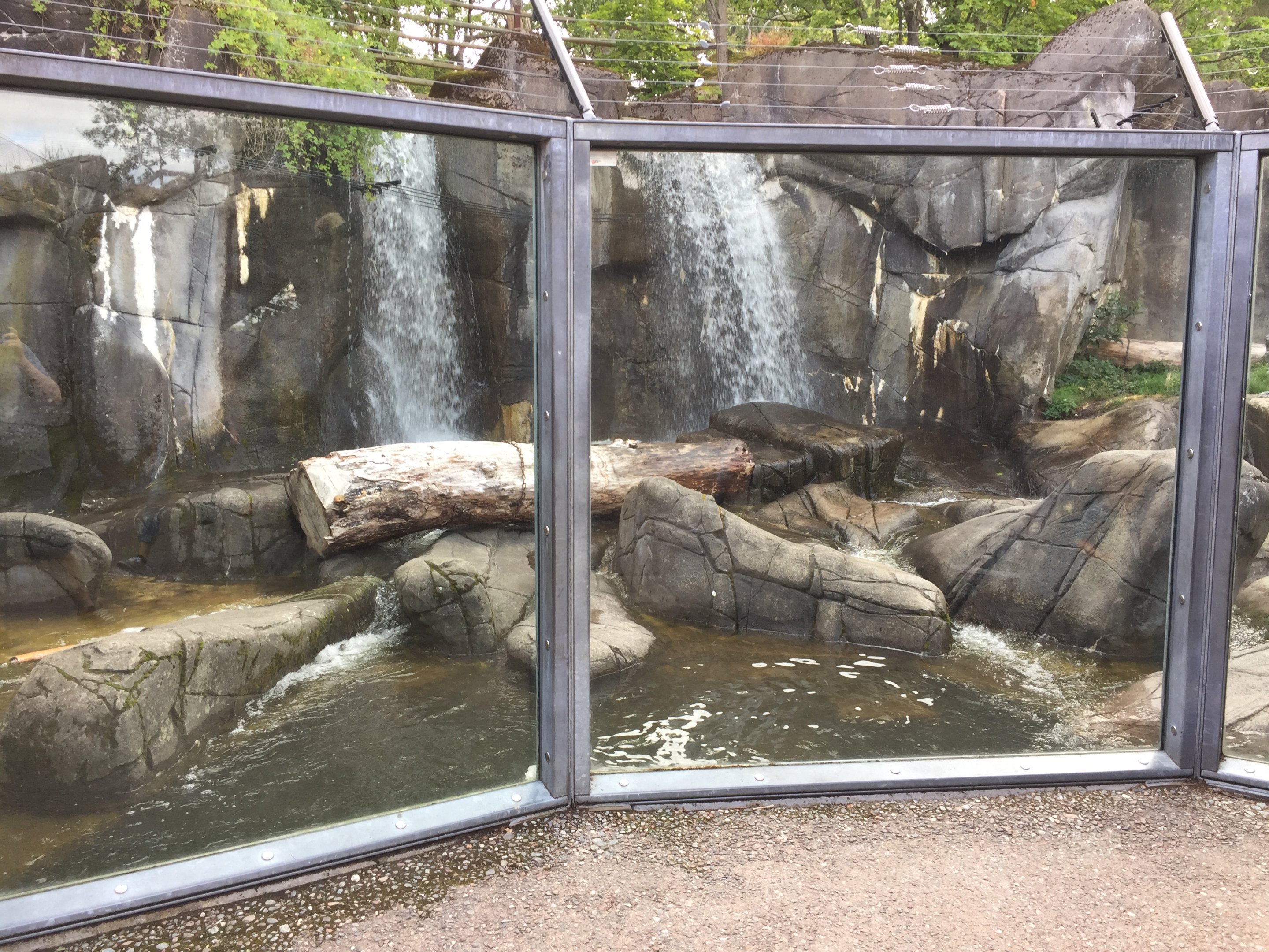 Part of bear enclosure