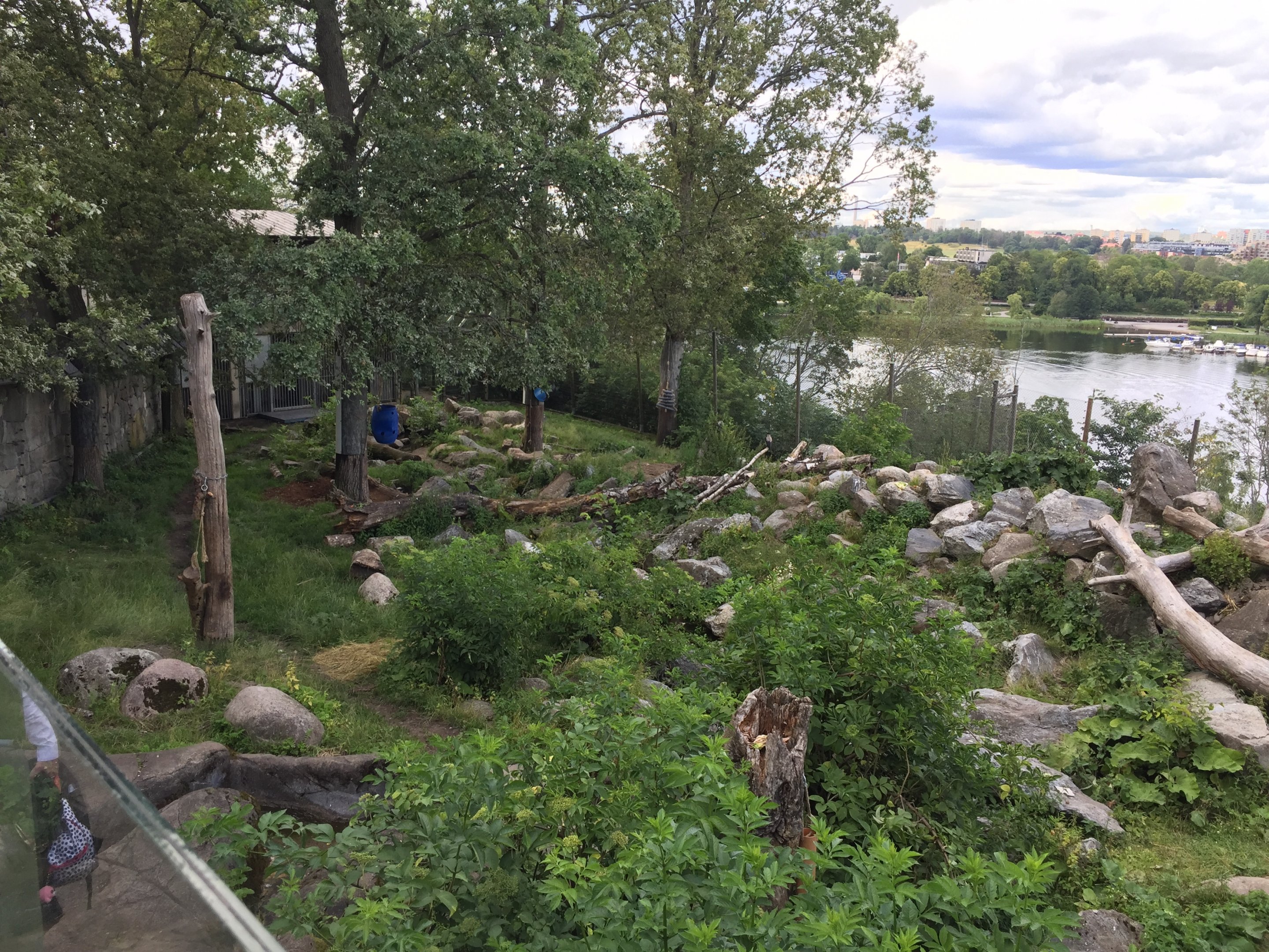 Part of bear enclosure