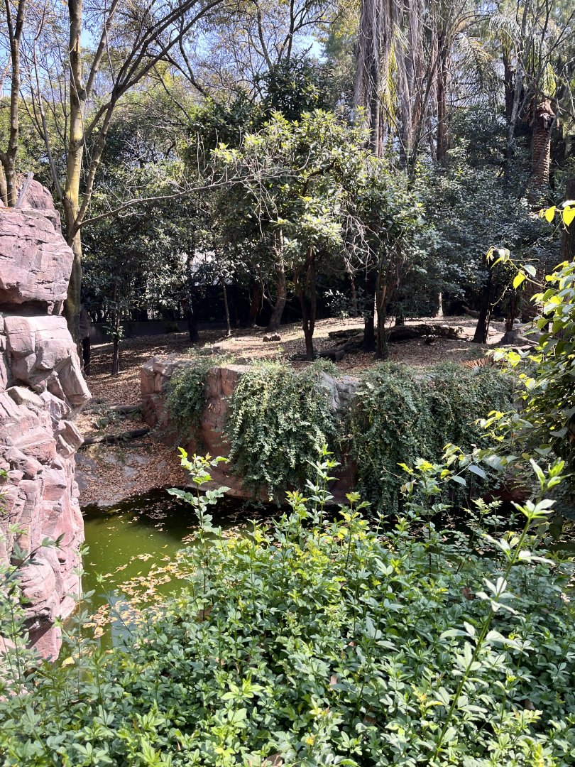 part of bengal tiger exhibit
