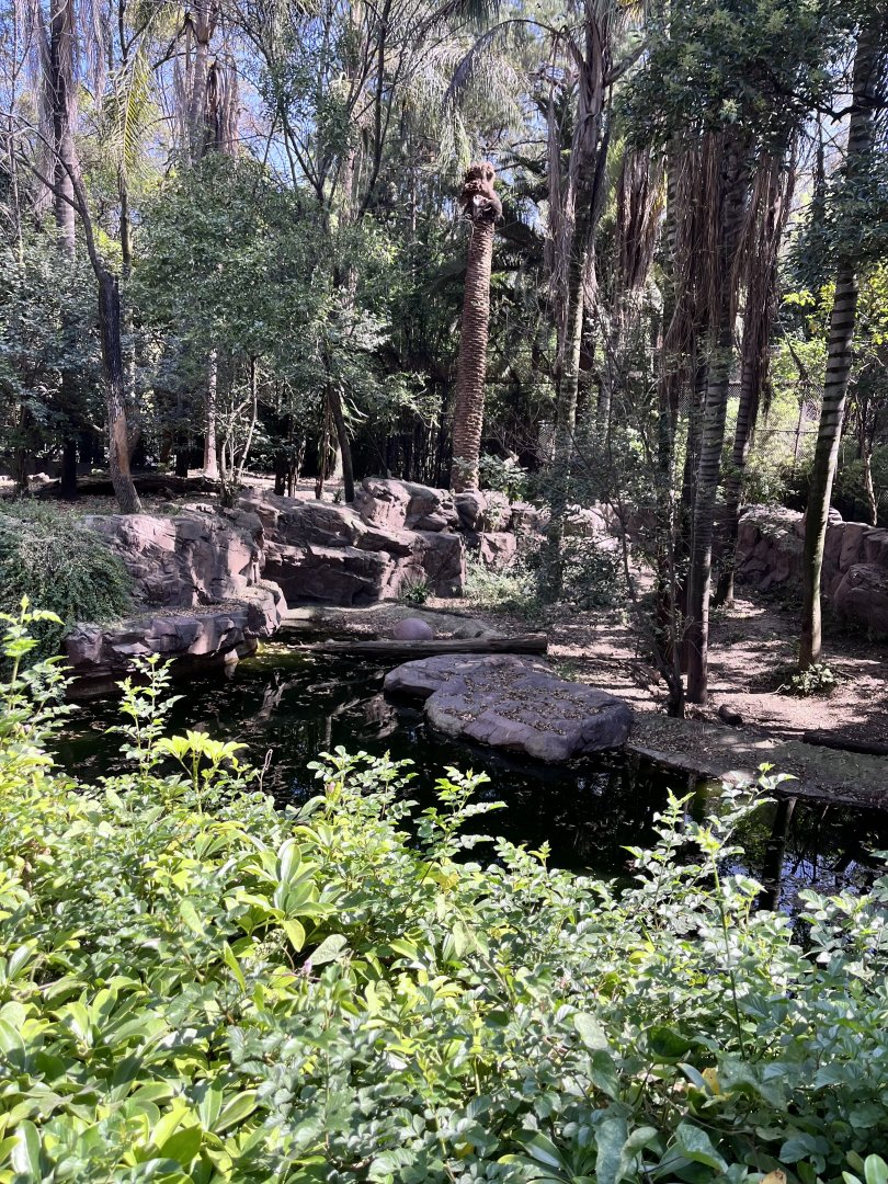 part of bengal tiger exhibit