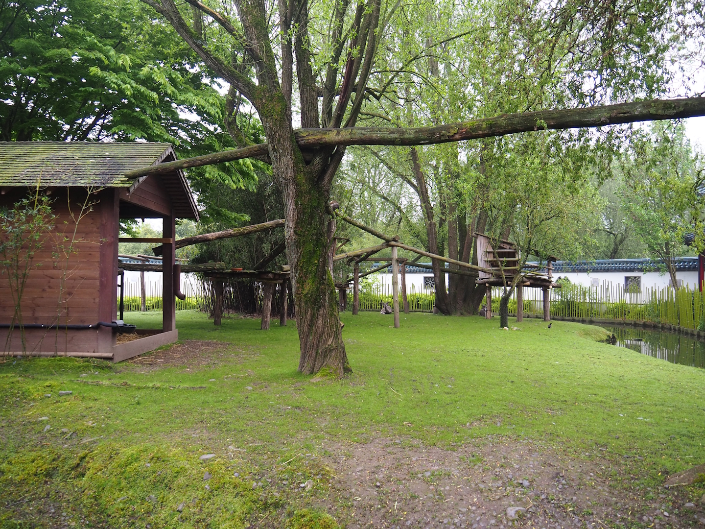Part of Bharal and Binturong exhibit, 2023-05-16