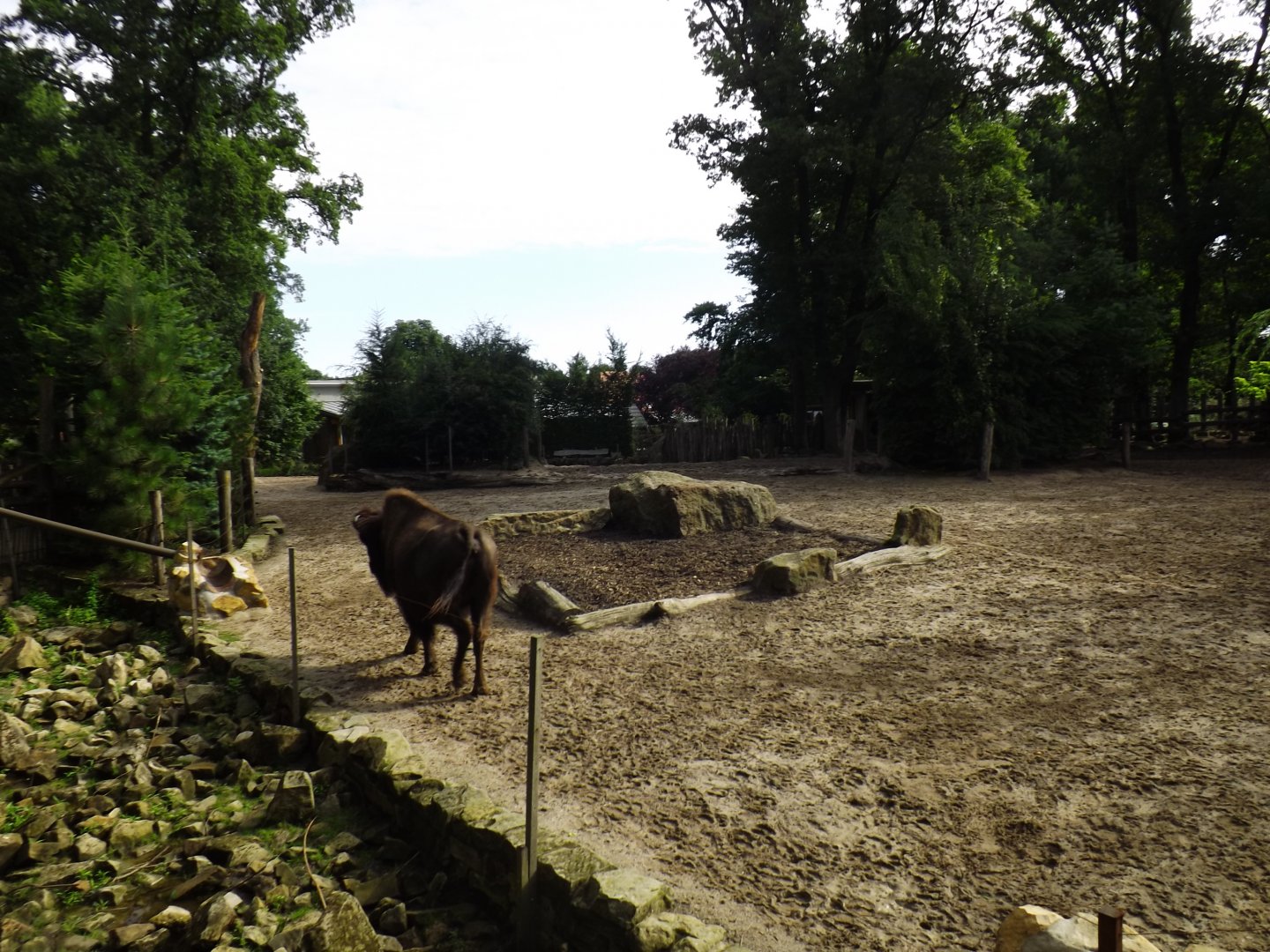 Part of bison paddock
