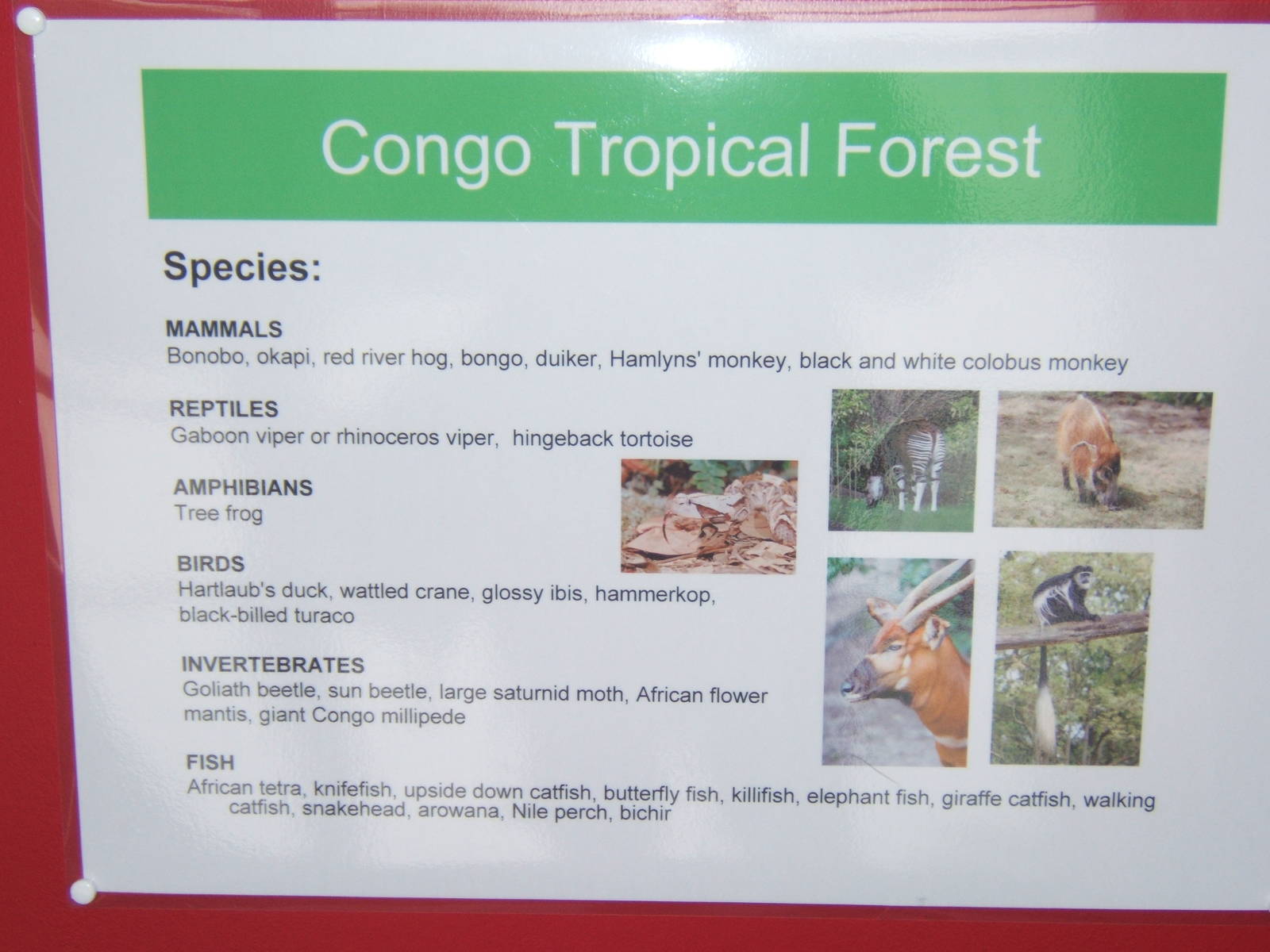 Part of Bristols Master plan for Hollywood Towers