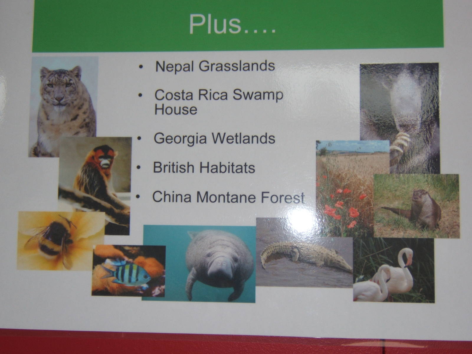 Part of Bristols Master plan for Hollywood Towers