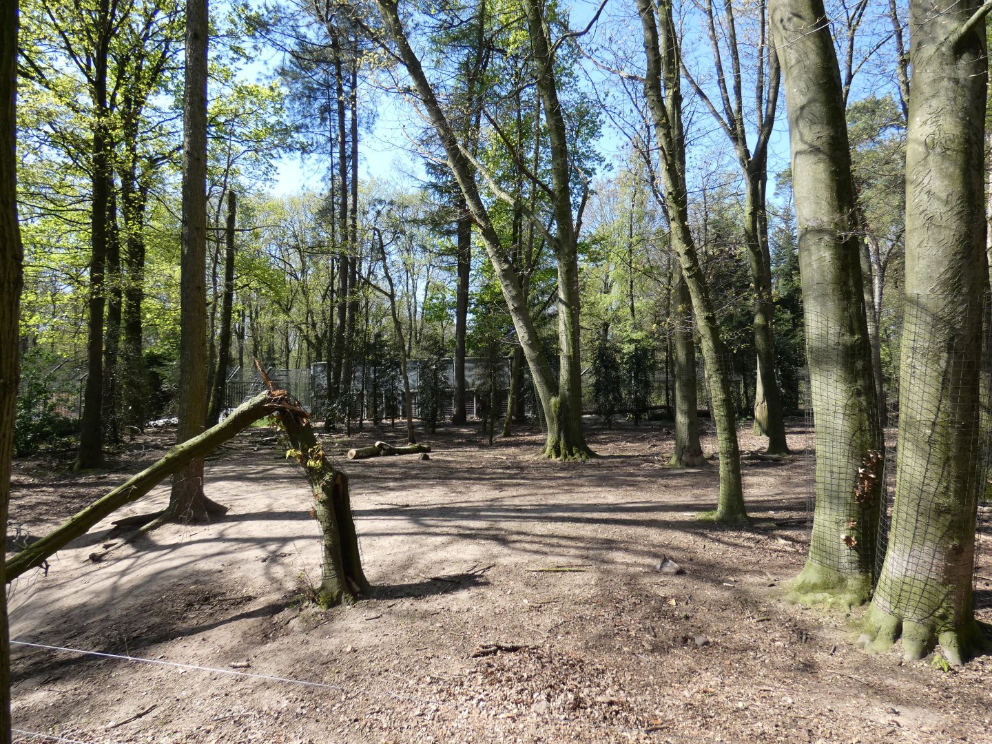 Part of Brown Bear and Wolf enclosure