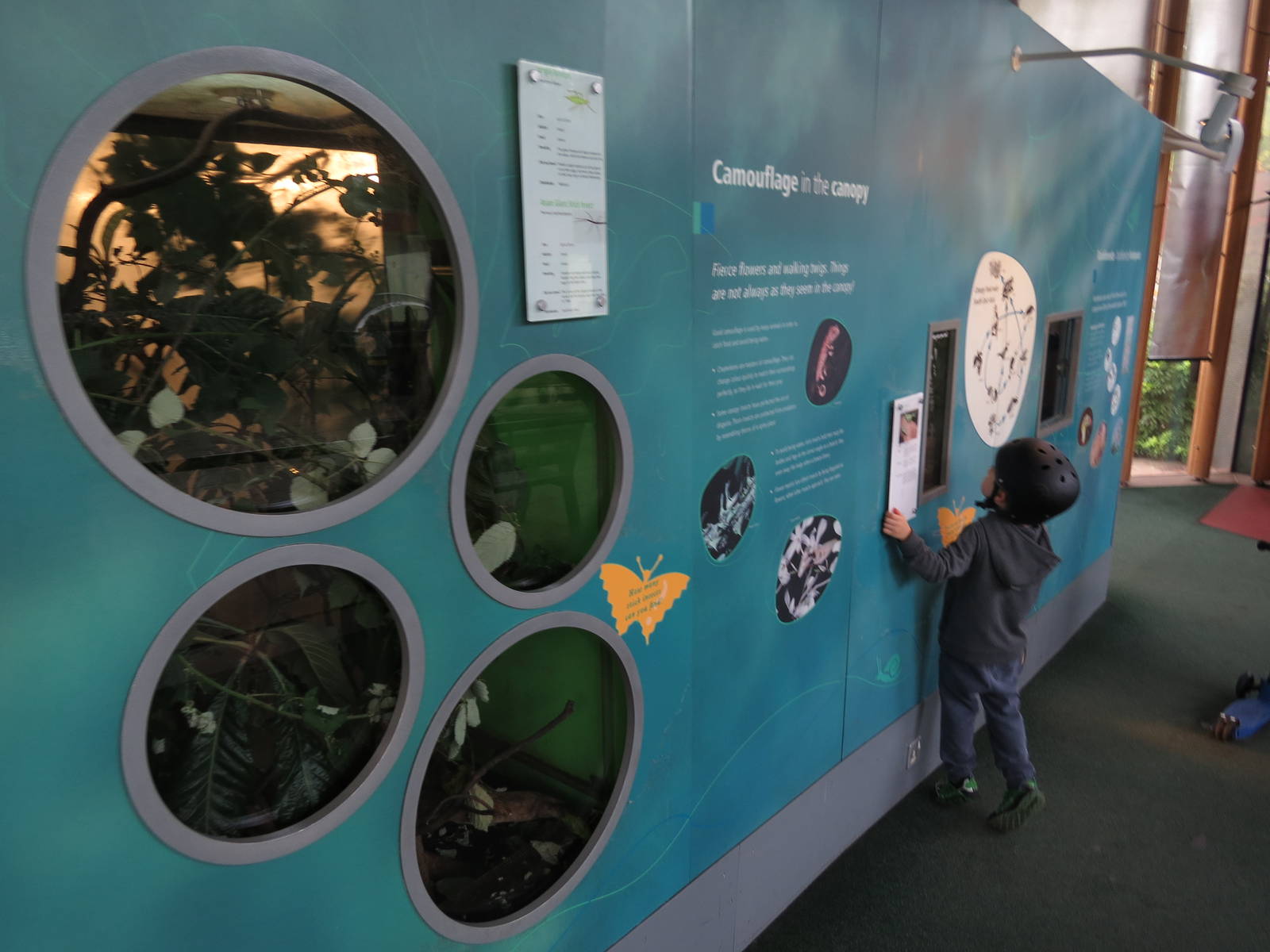 part of BUGS exhibits