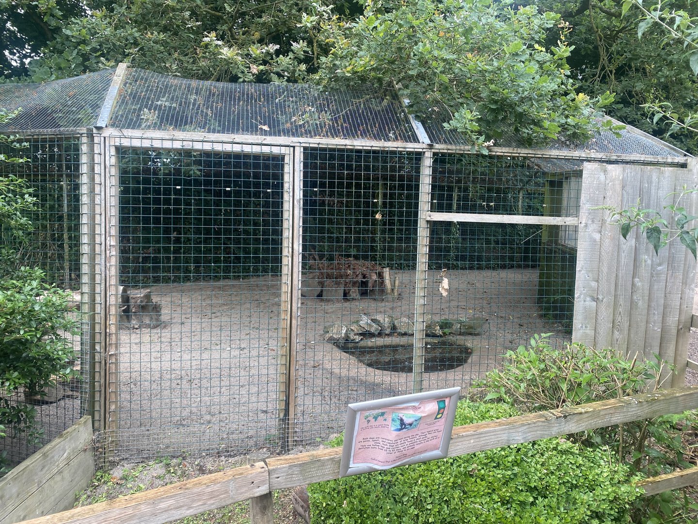 Part of Bush dog enclosure 300623