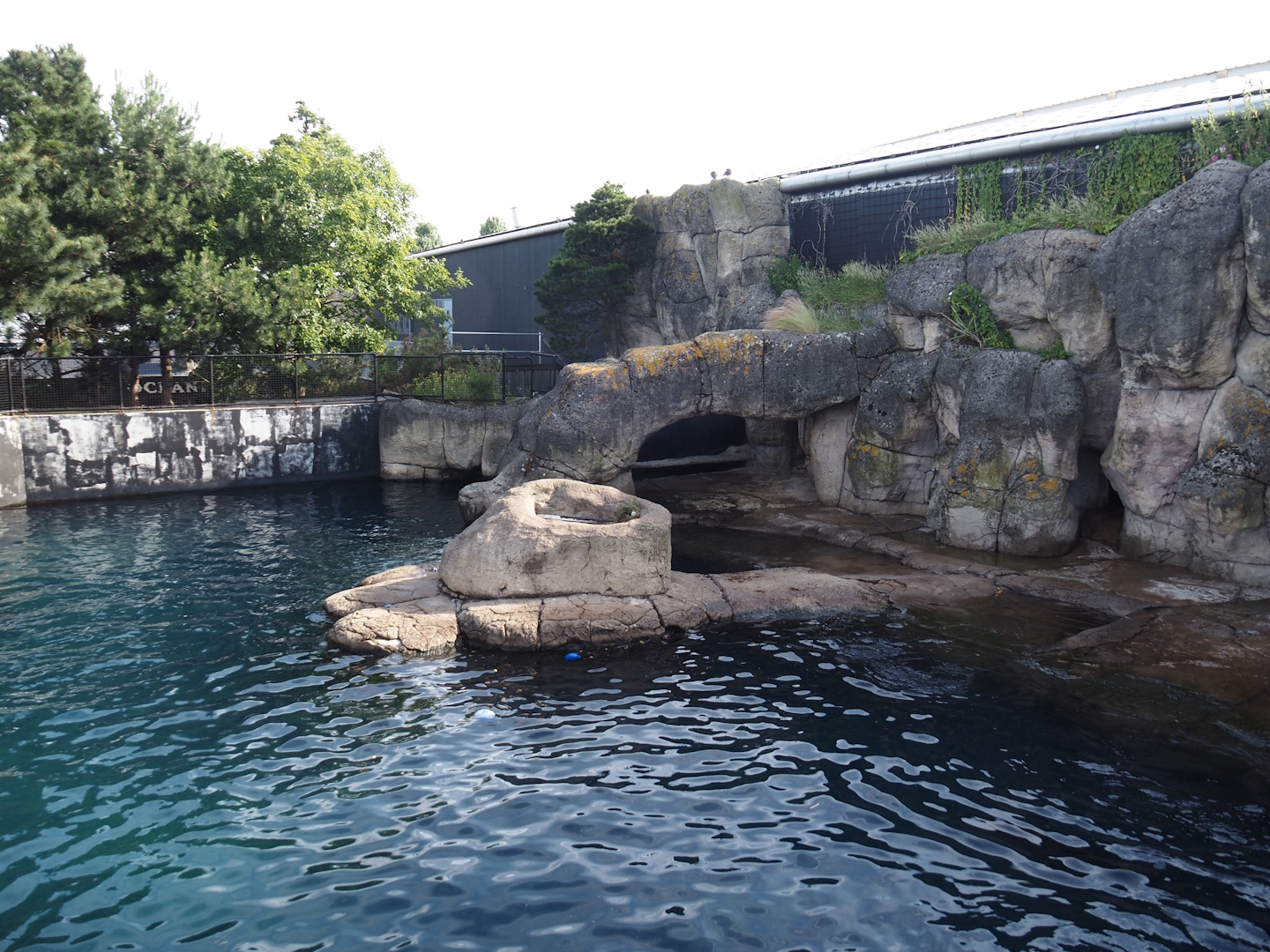 Part of California sea lion exhibit, 2024-06-30