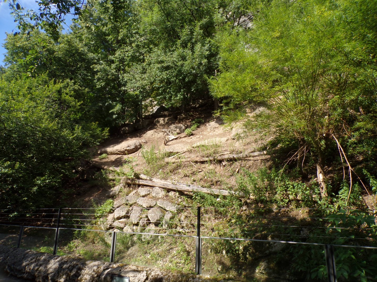 Part of chamois enclosure 13.7.25