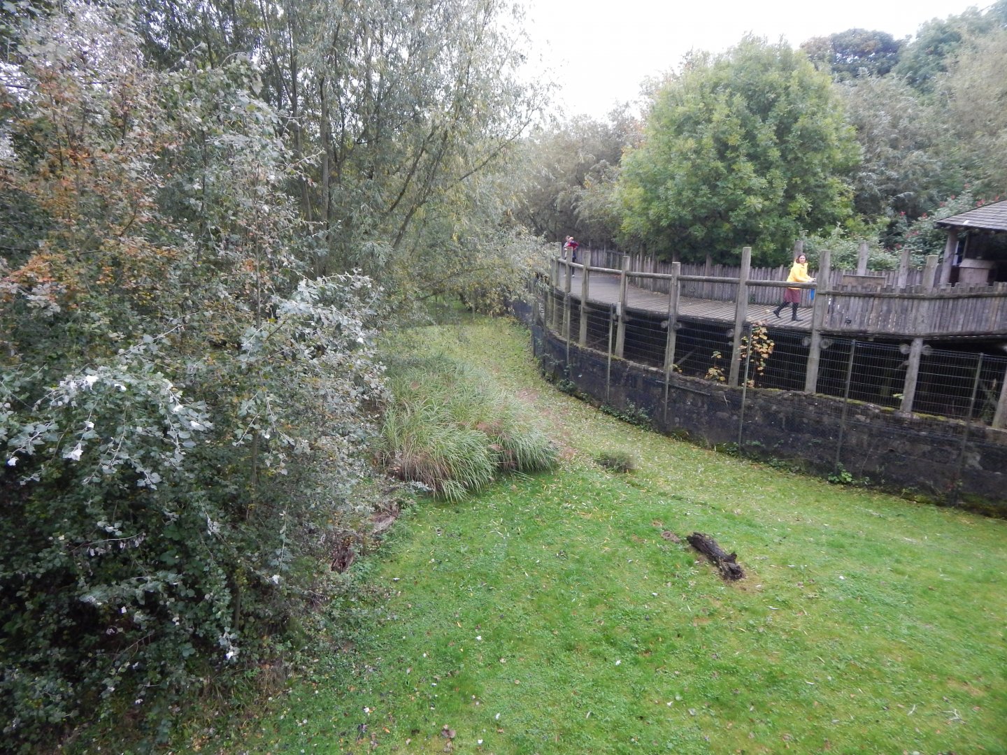 Part of Cheetah exhibit 181021