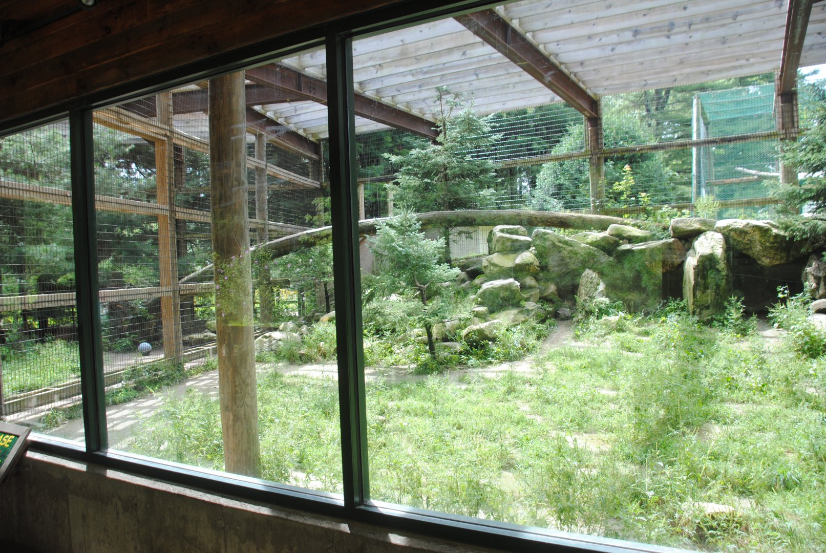 Part of Cougar exhibit
