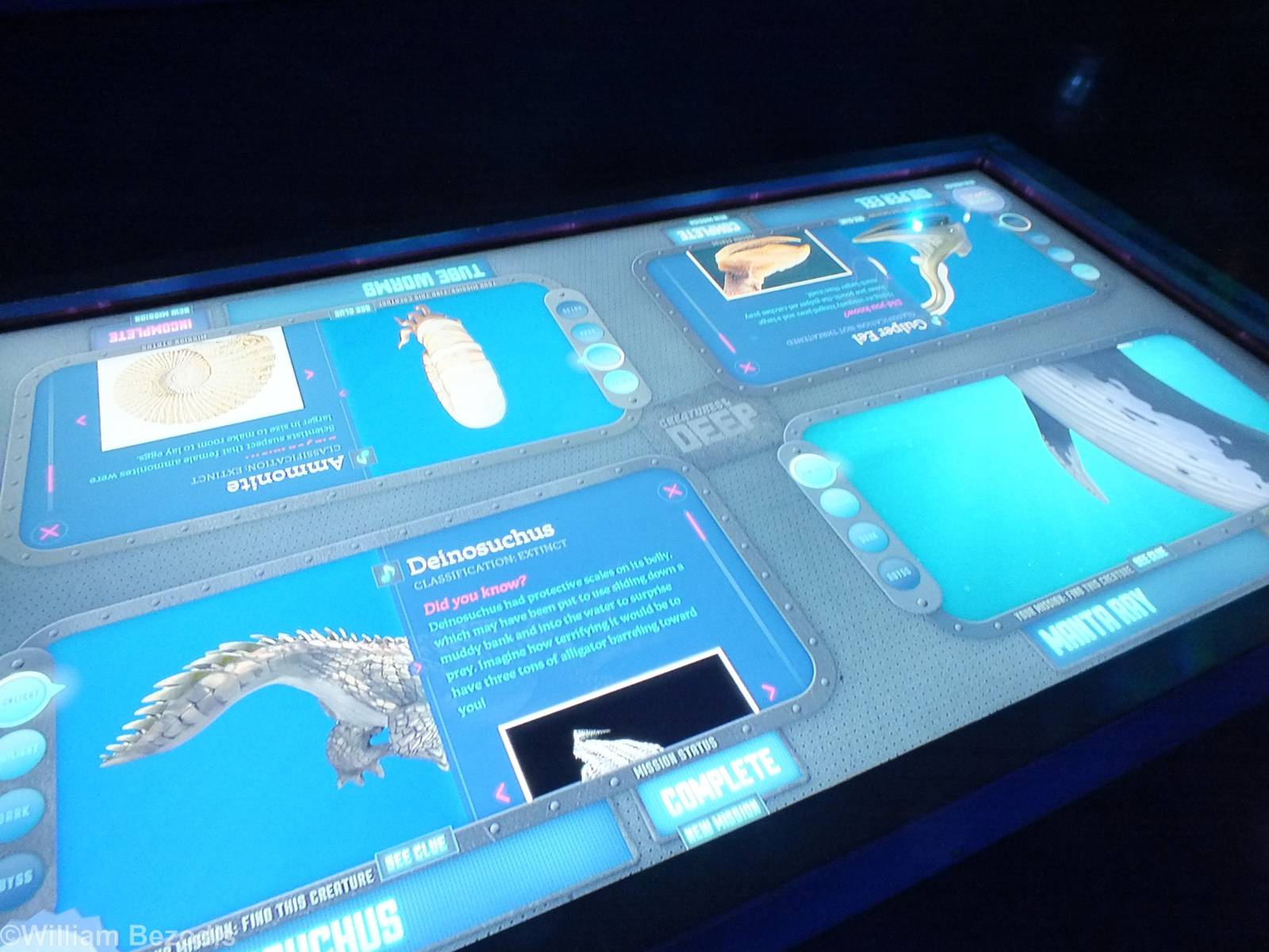Part of Creatures of the Deep Display