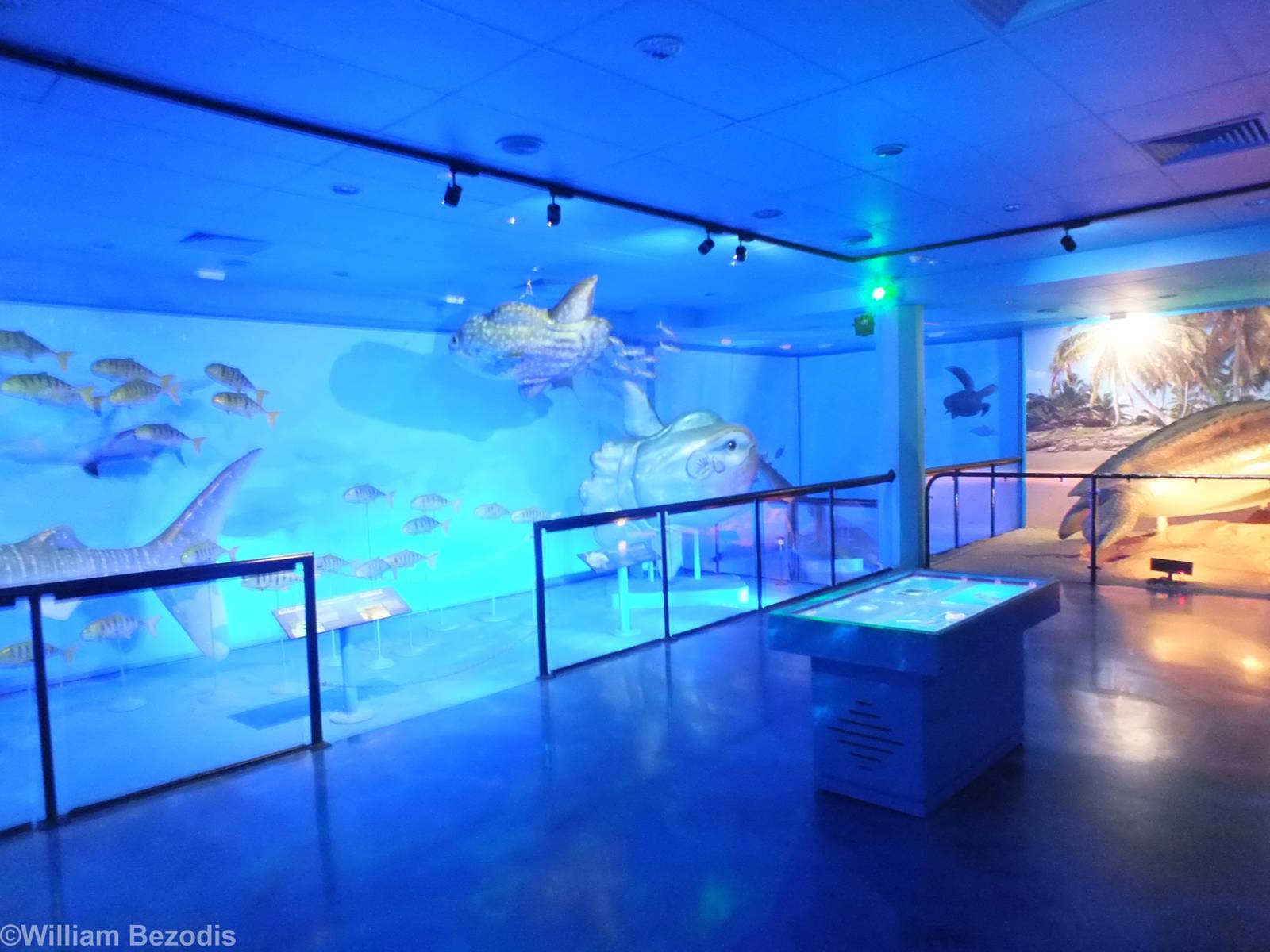 Part of Creatures of the Deep Display