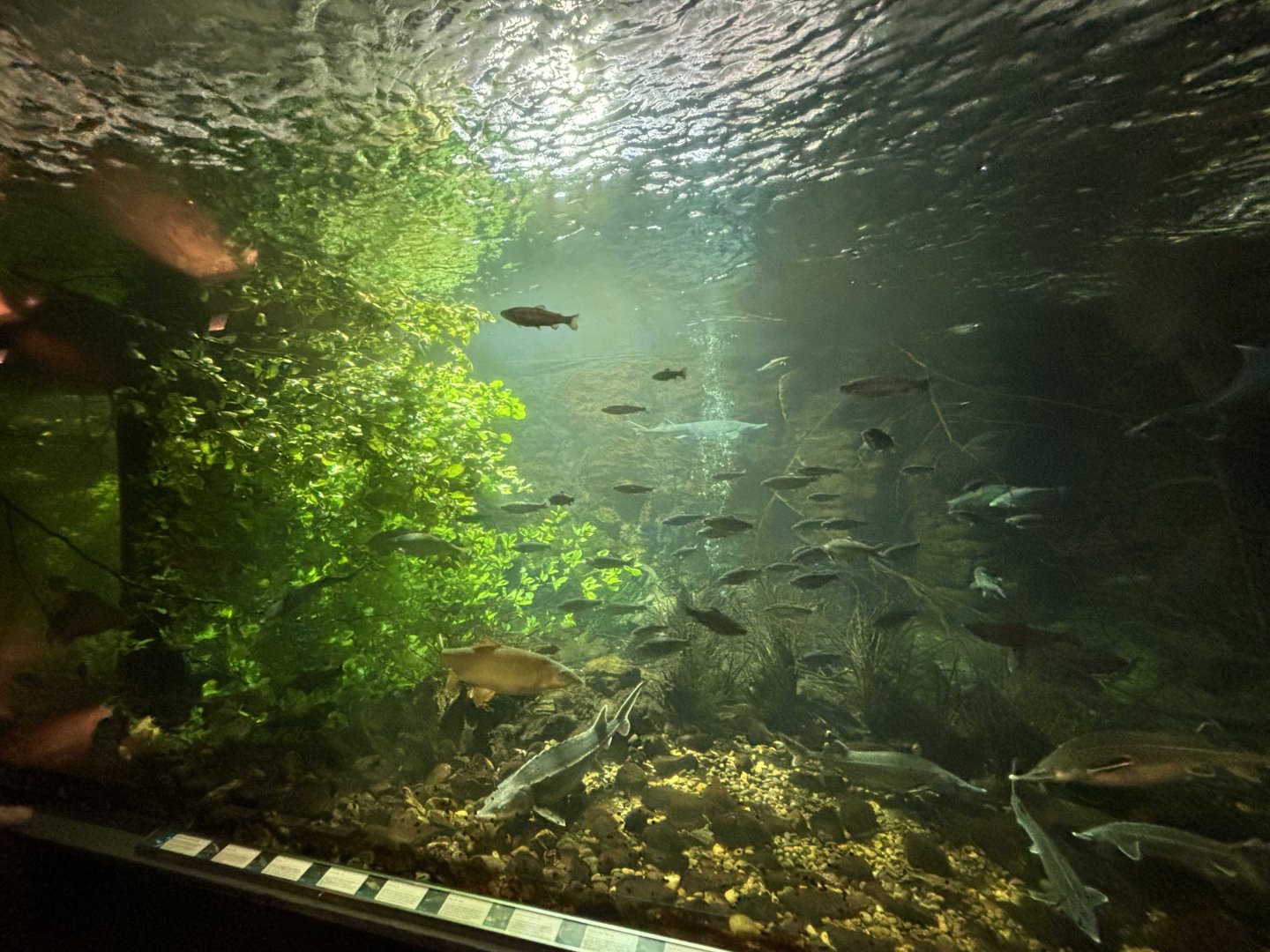 Part of Danube tunnel tank